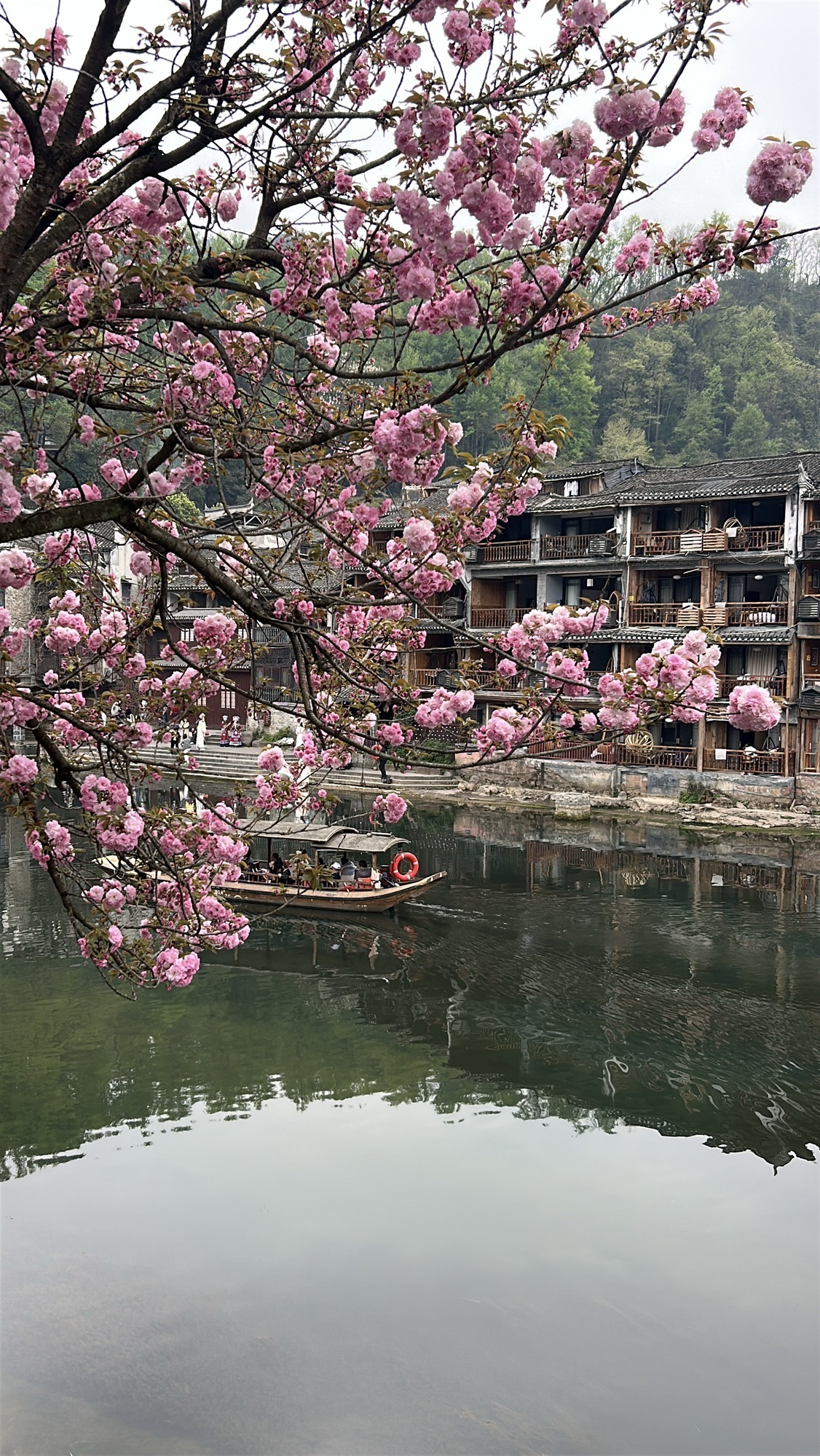 凤凰古城旅行图片