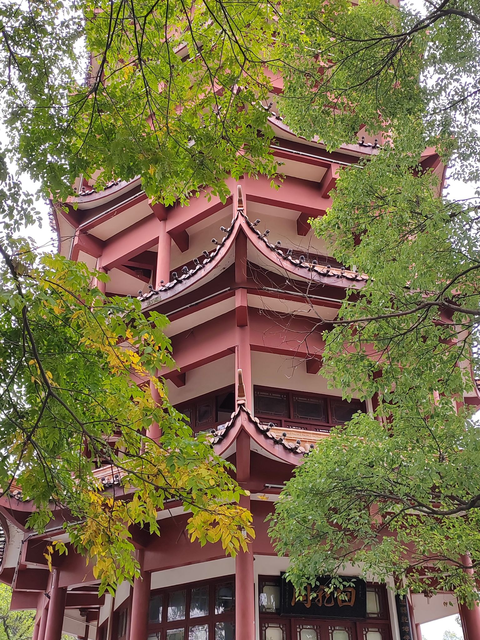 迴龙公园旅行图片