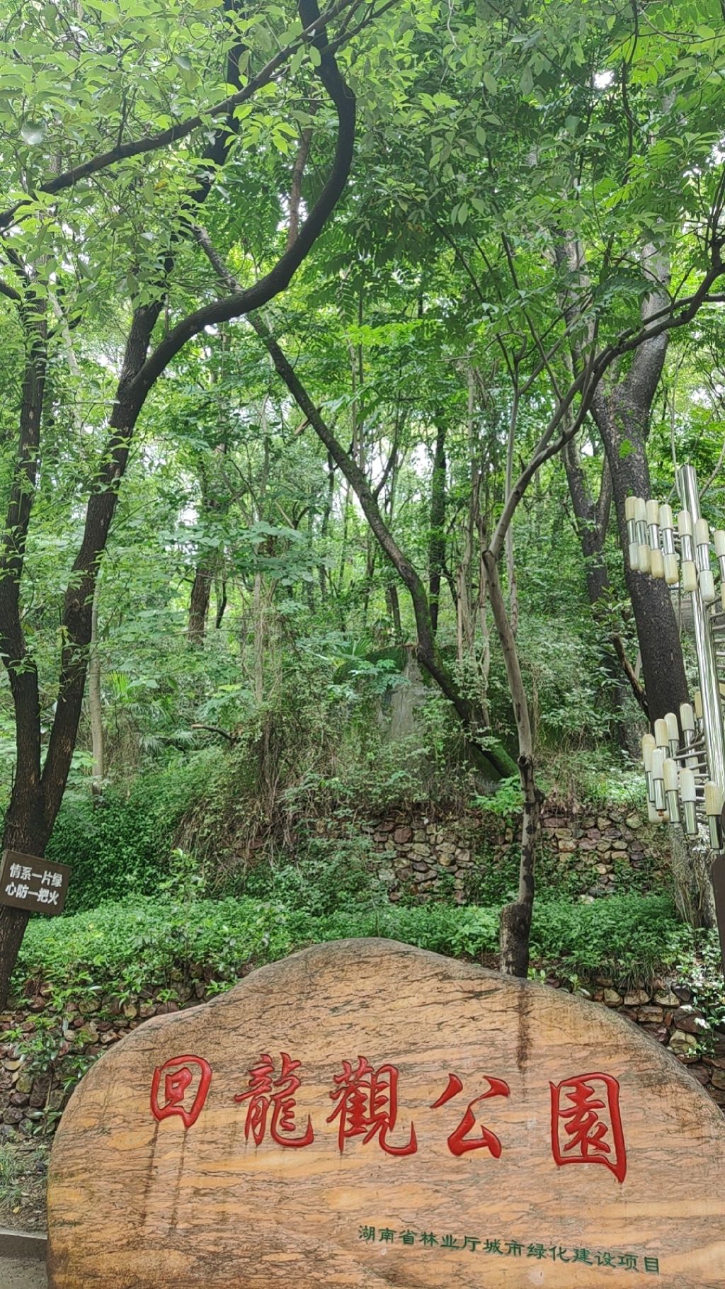 迴龙公园旅行图片