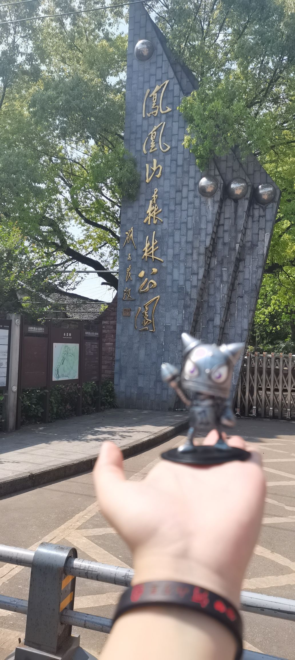 凤凰山森林公园旅行图片