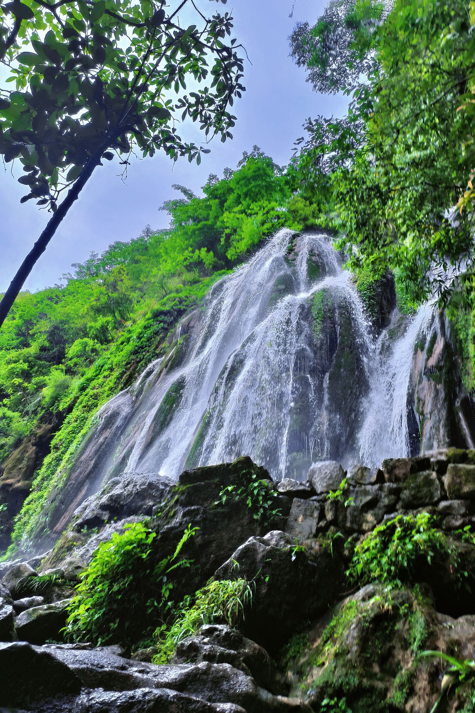 康龙自然保护区旅行图片