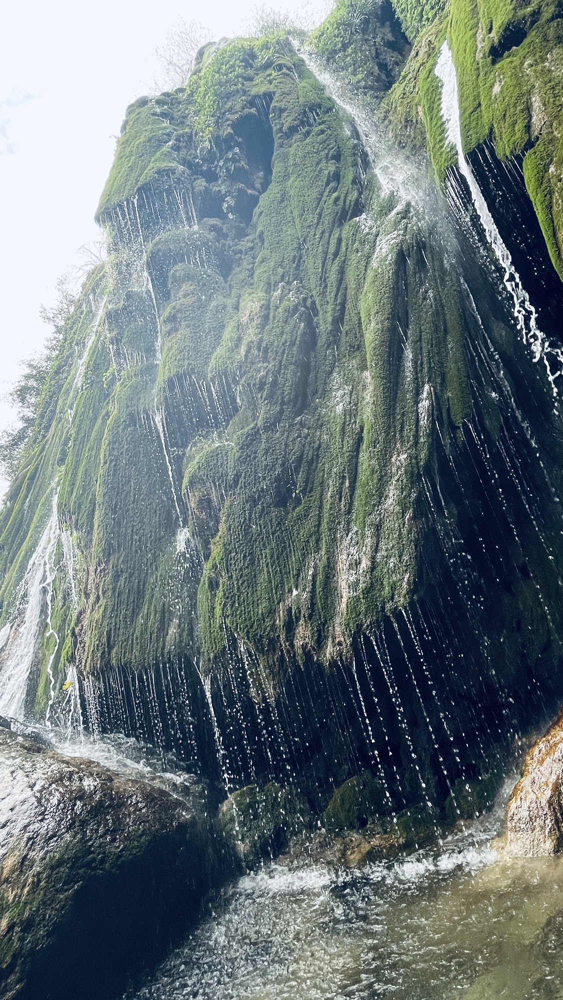 康龙自然保护区旅行图片