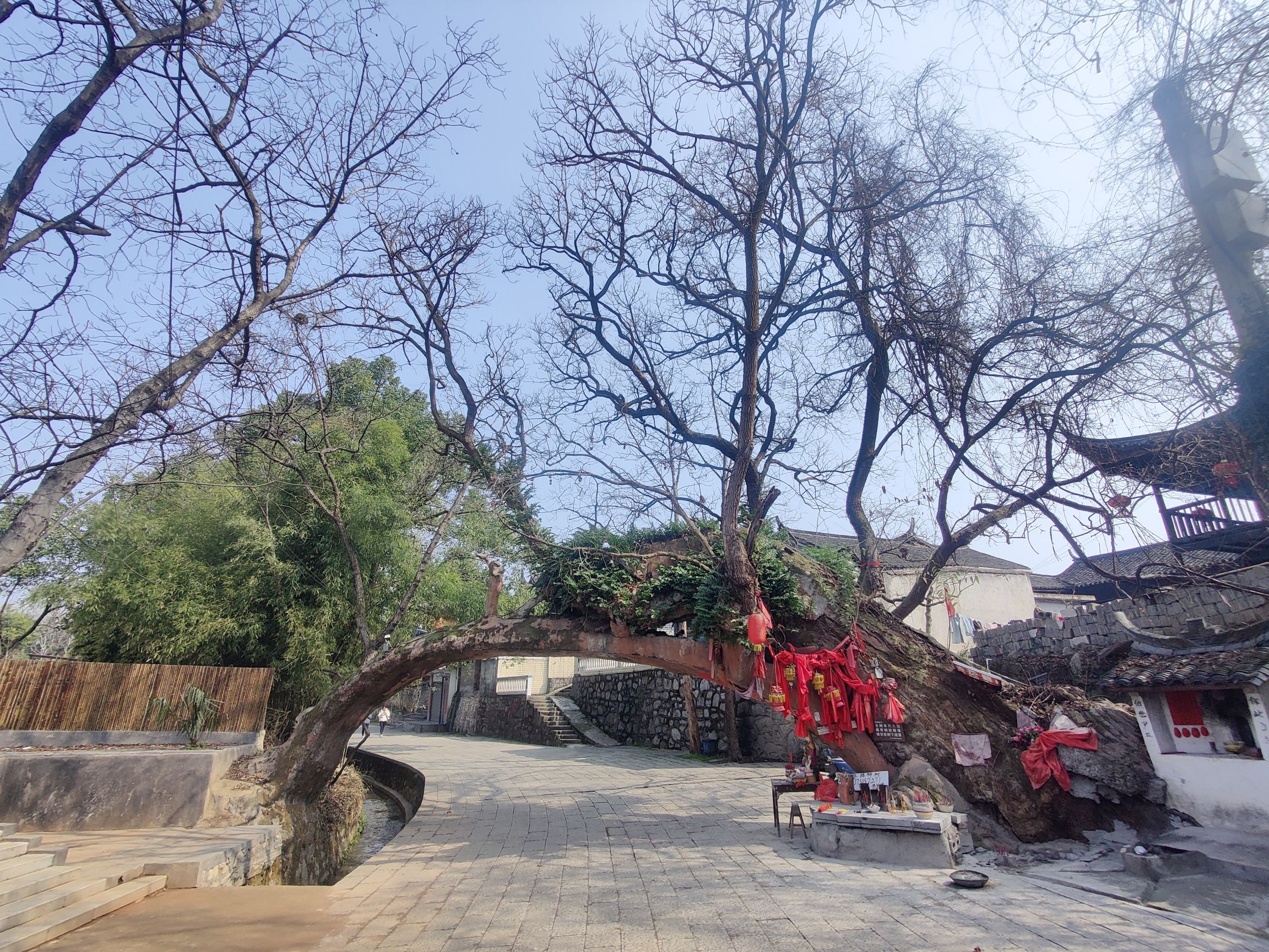 荆坪古村旅行图片