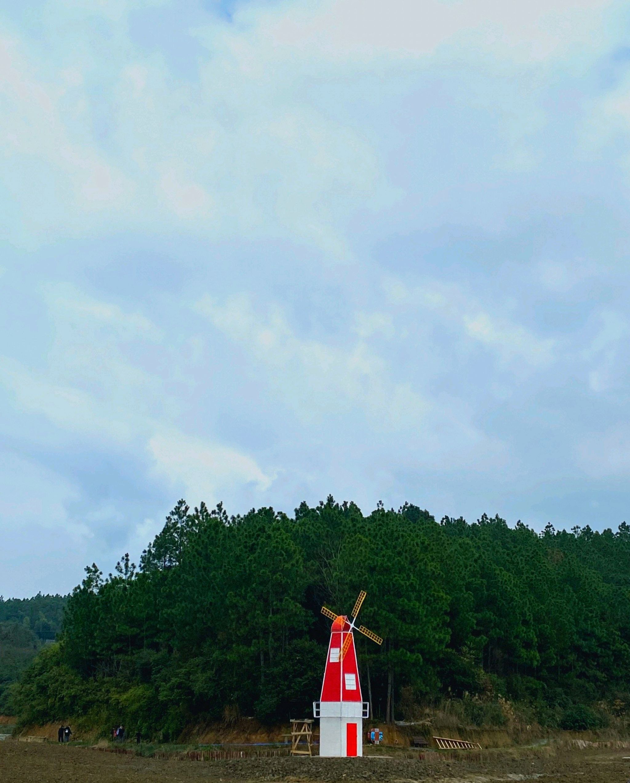 森林公园