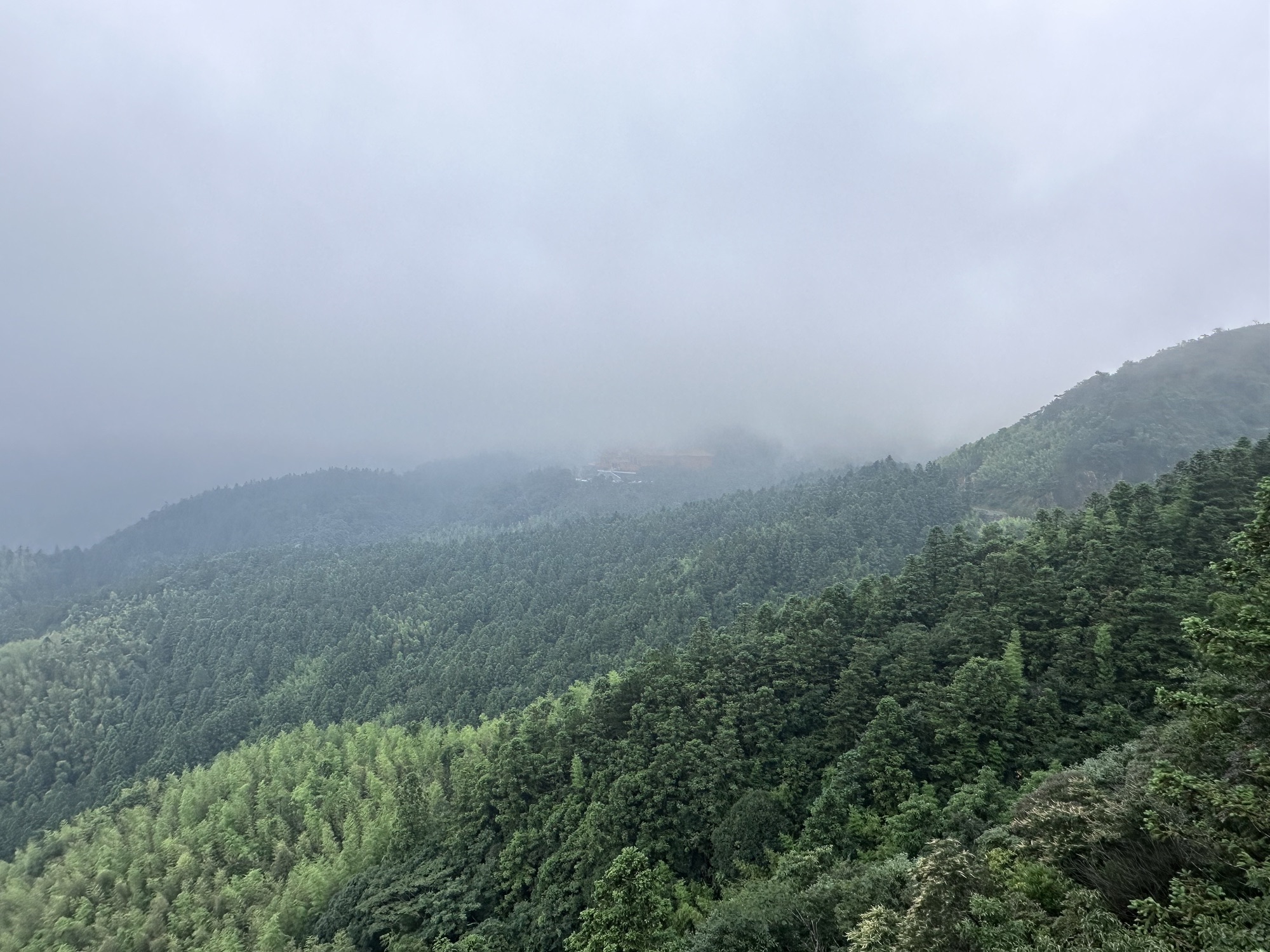 阳明山国家森林公园旅行图片