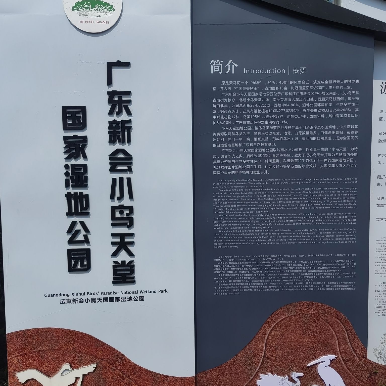 小鸟天堂旅行图片