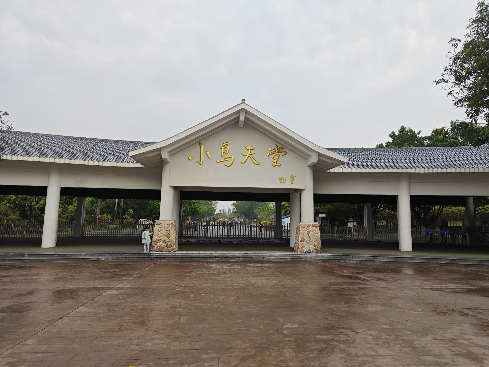 小鸟天堂旅行图片