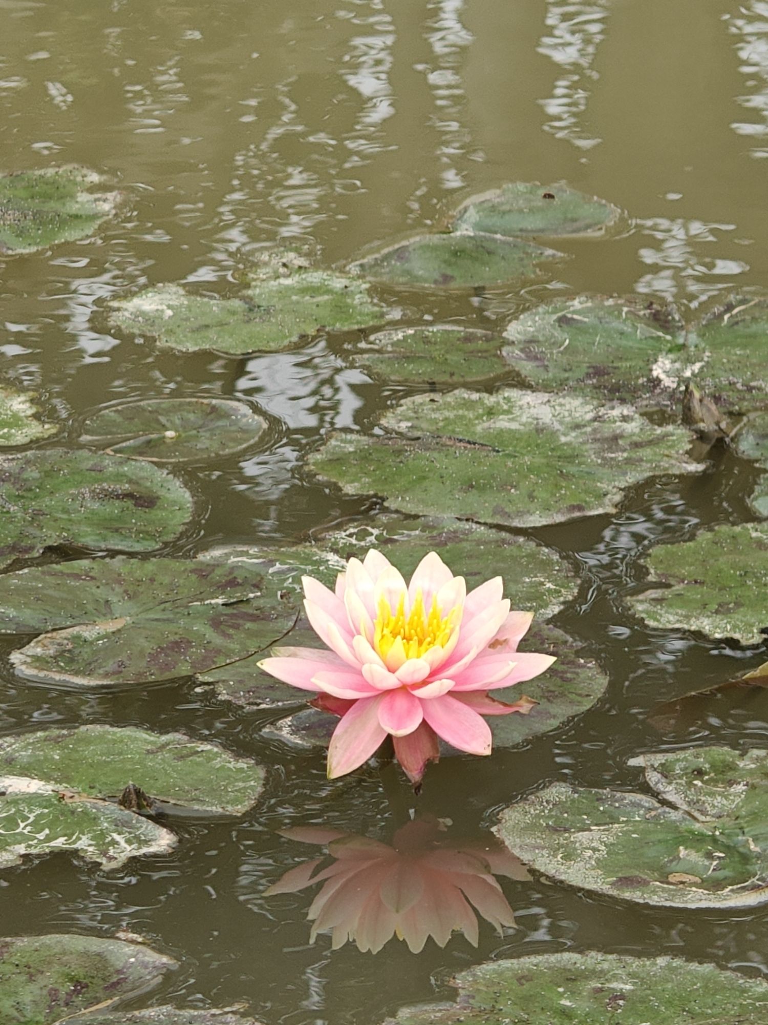 小鸟天堂旅行图片