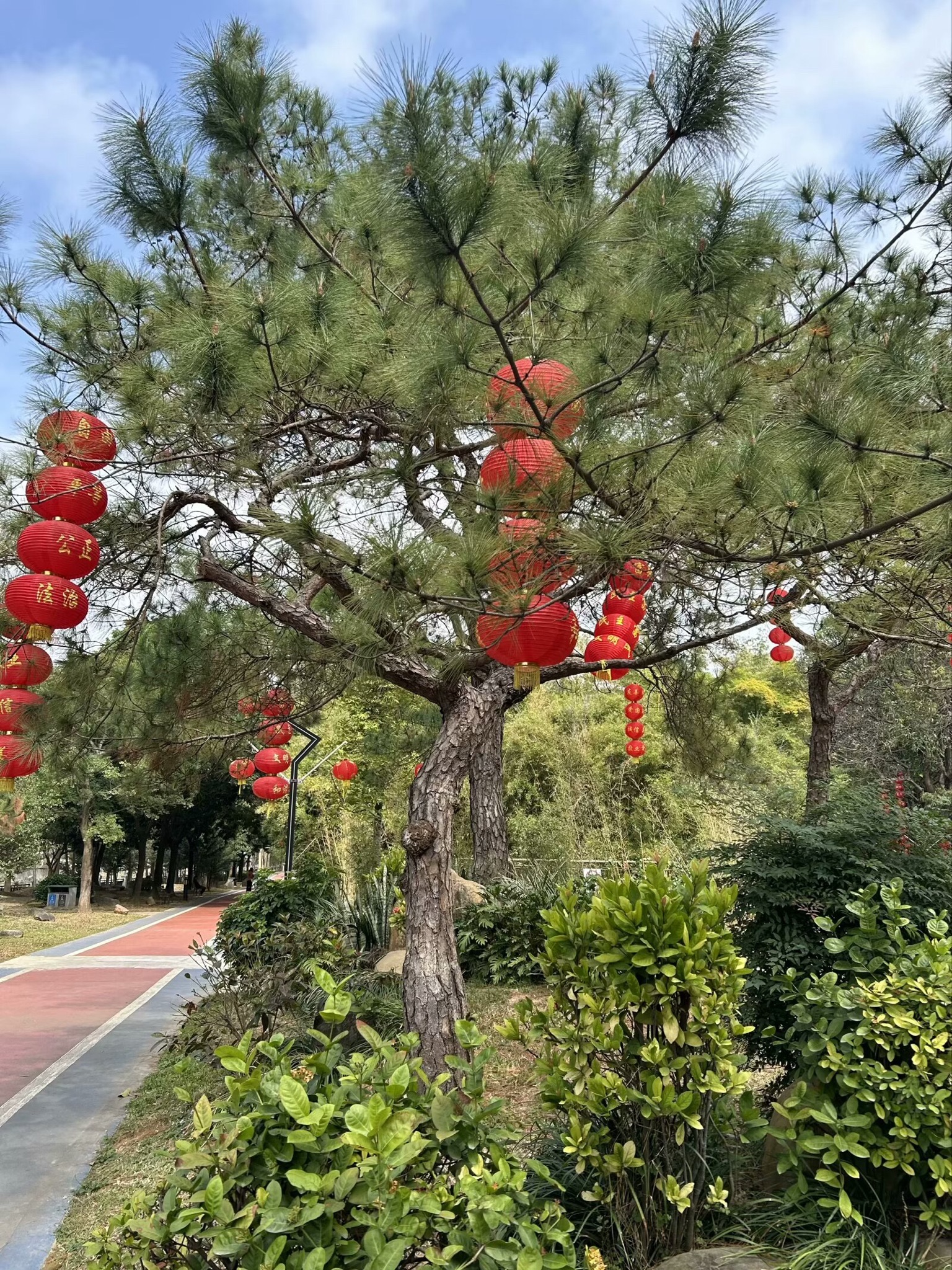 东湖公园旅行图片
