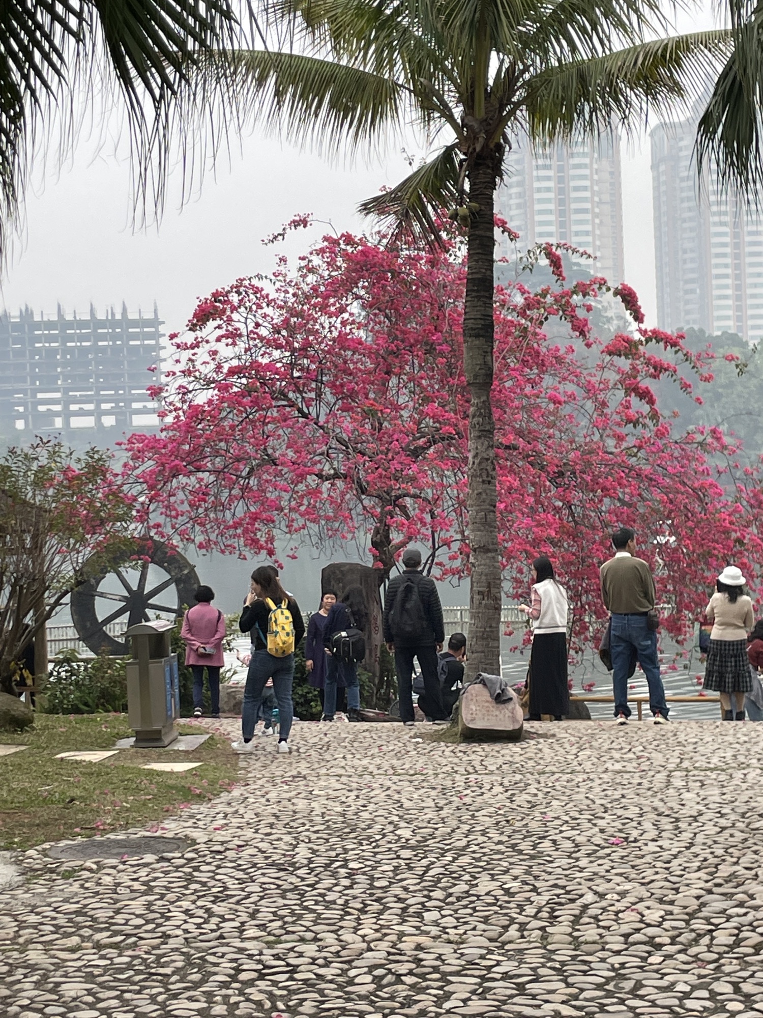 东湖公园旅行图片