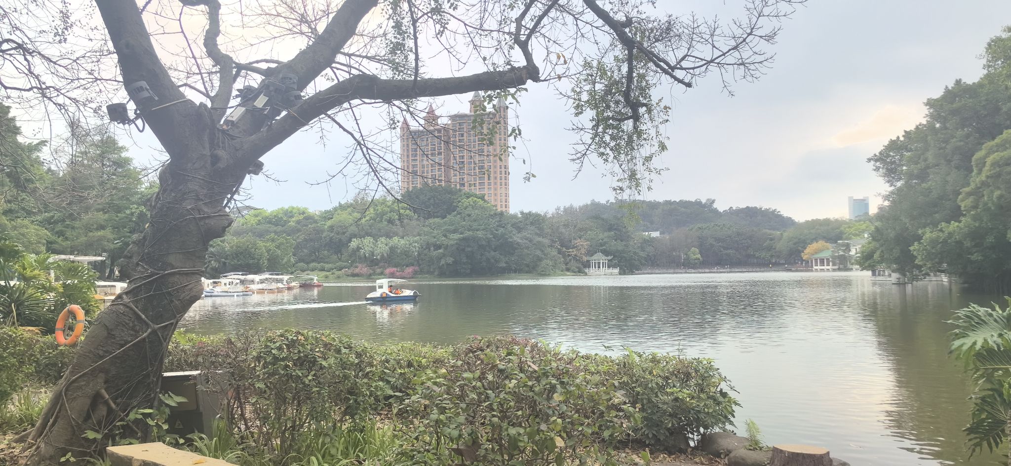 东湖公园旅行图片