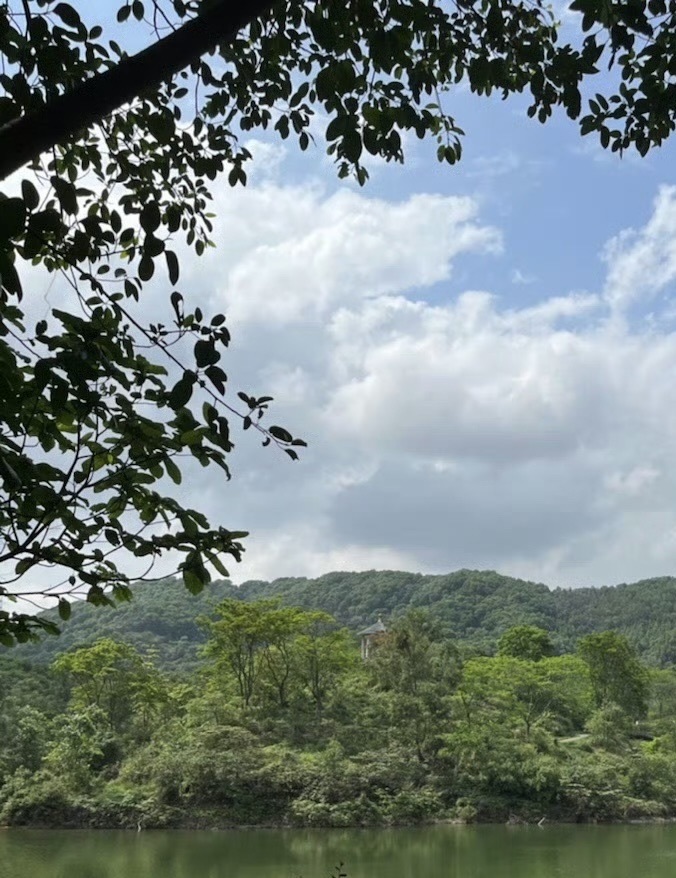 大西坑保护区旅行图片