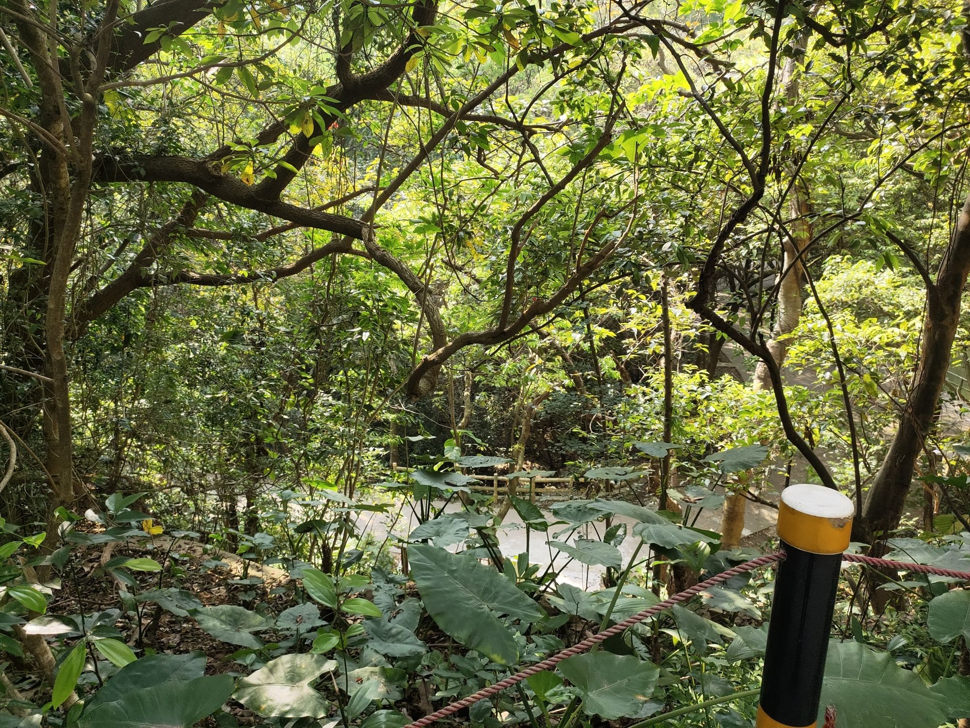 白水带风景区旅行图片