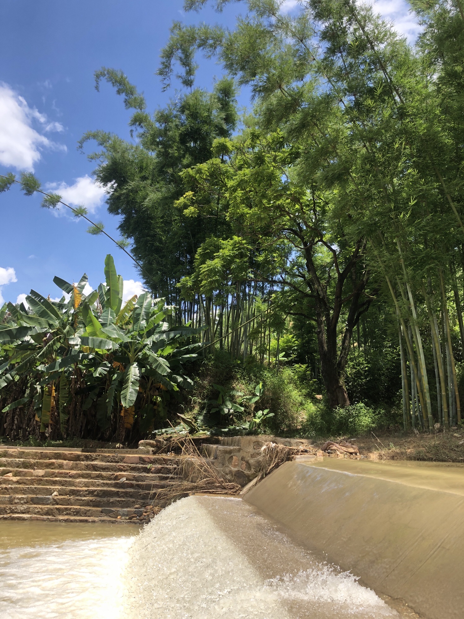 鲁古河自然保护区