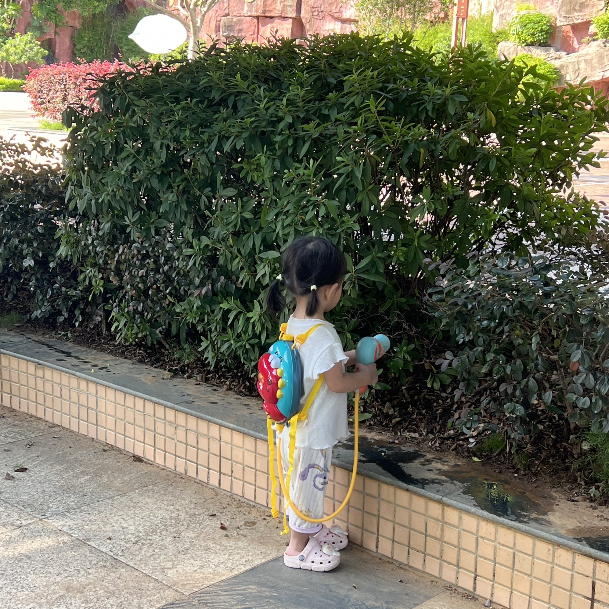 韶关市帽峰公园旅行图片