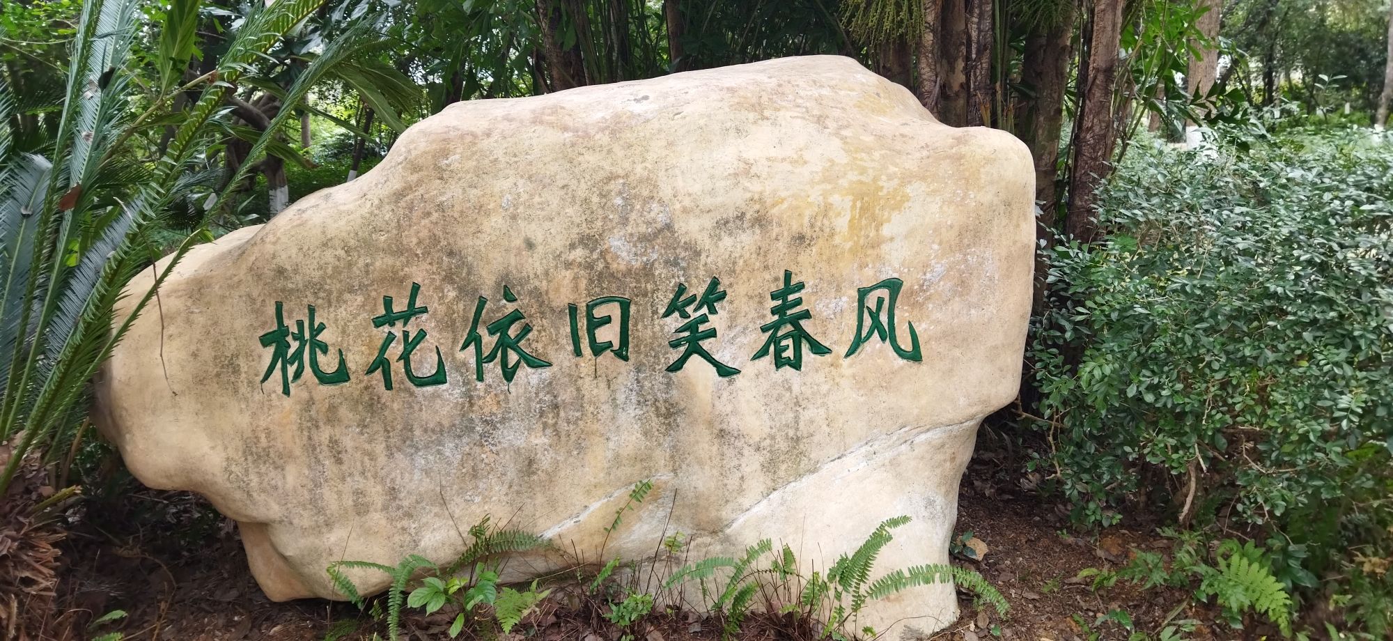 沙湖公园