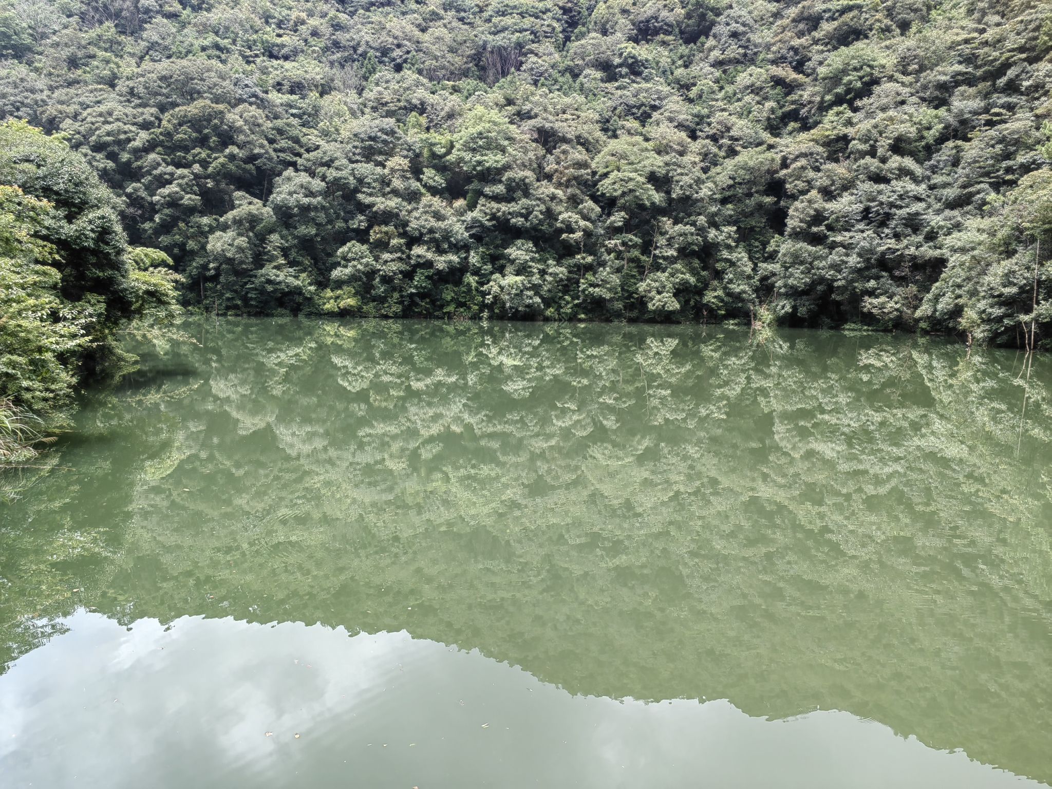 刘张家山林场森林公园