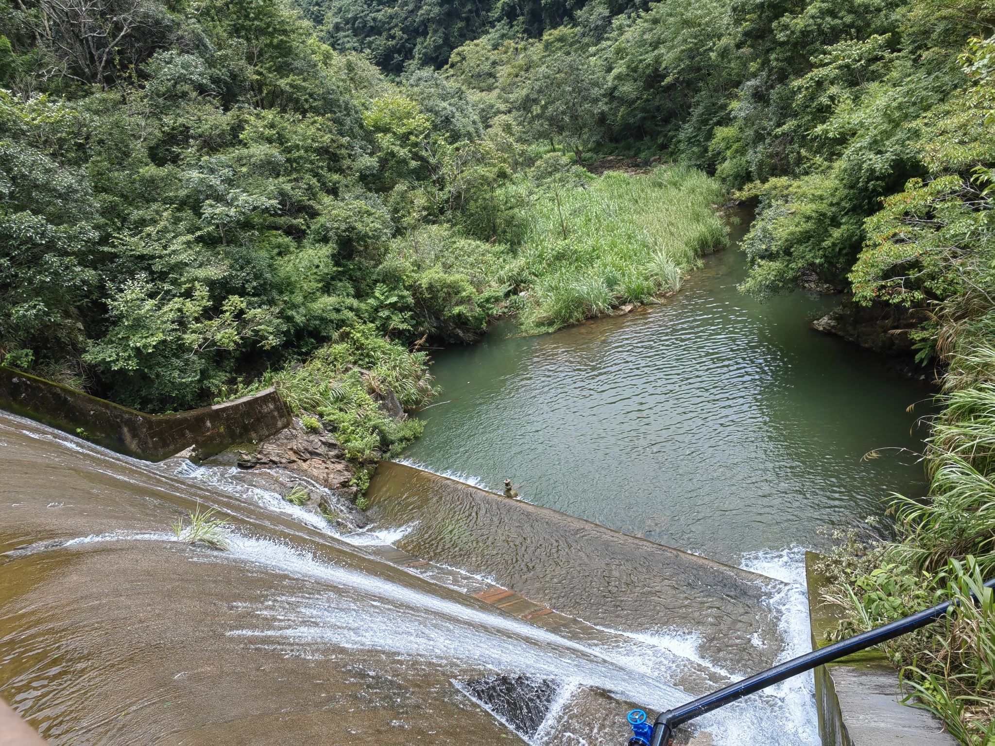 刘张家山林场森林公园旅行图片