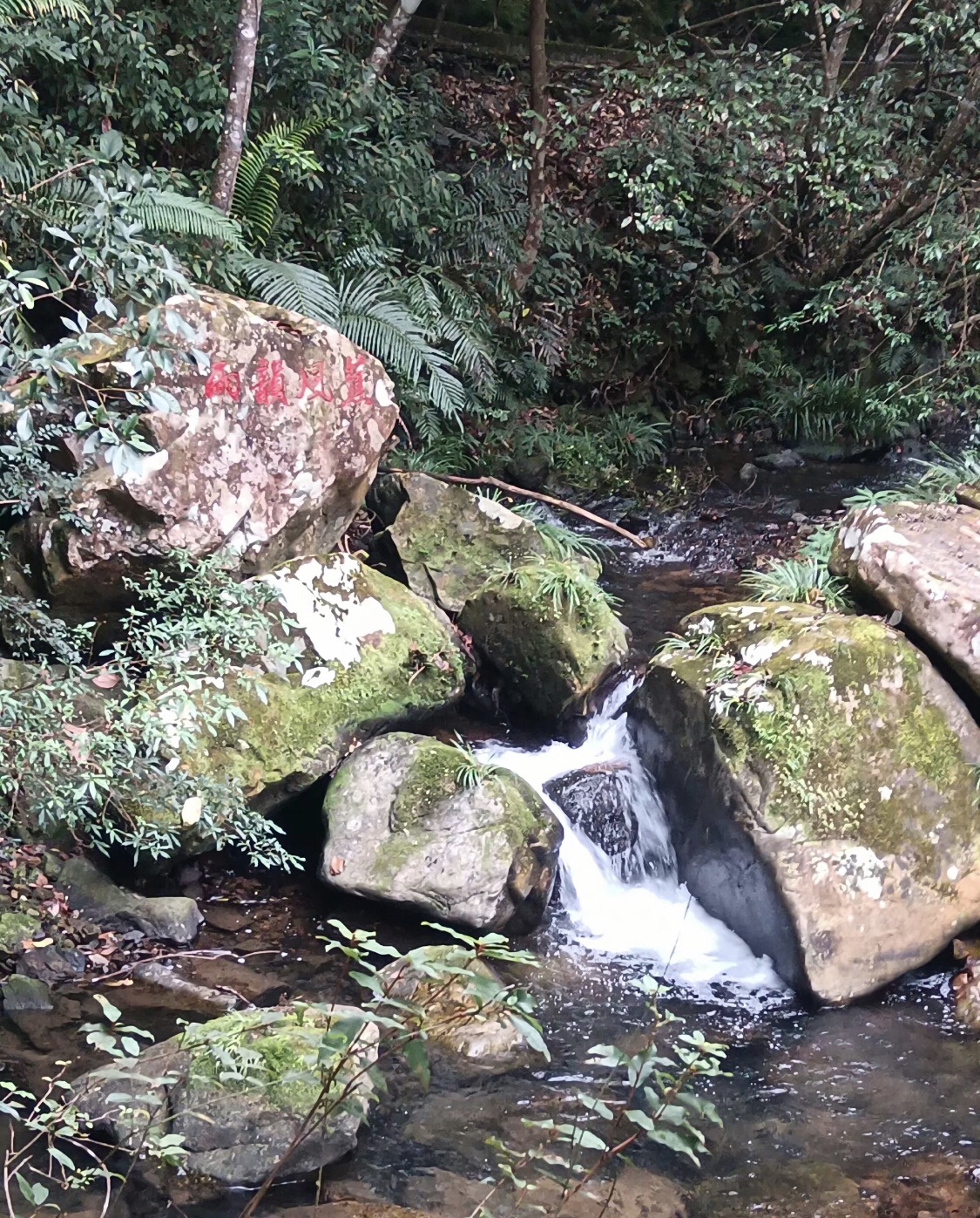 龙王潭生态旅游区旅行图片