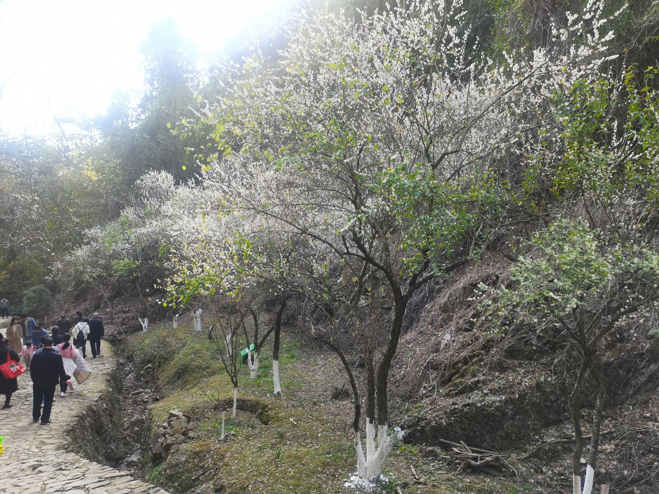 梅关古道景区