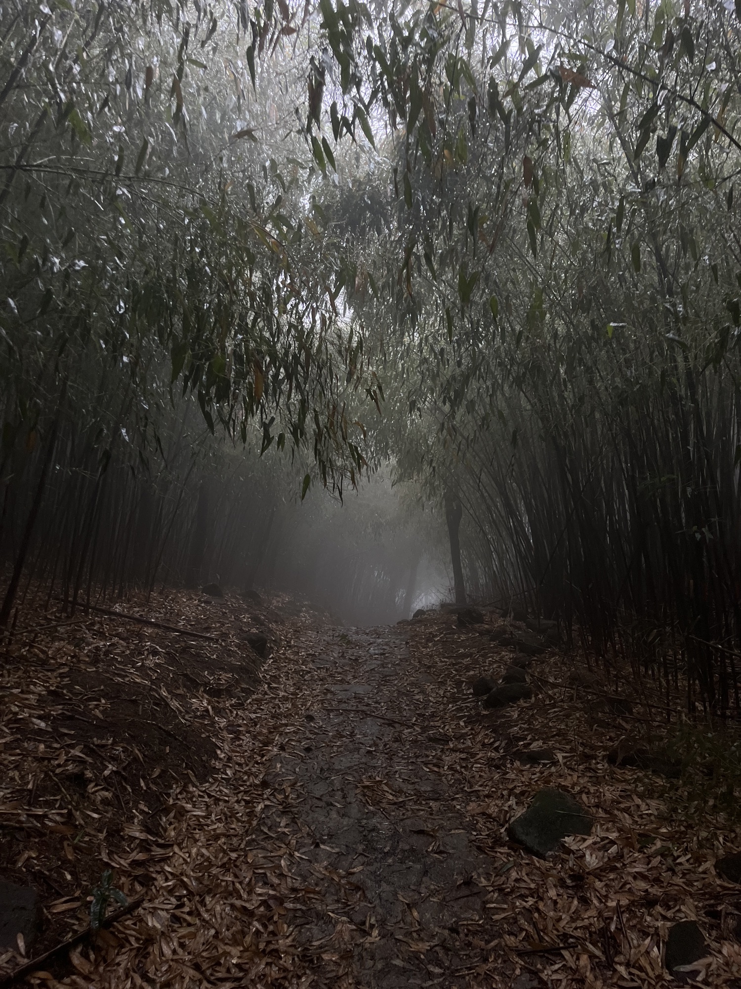 罗浮山风景名胜区