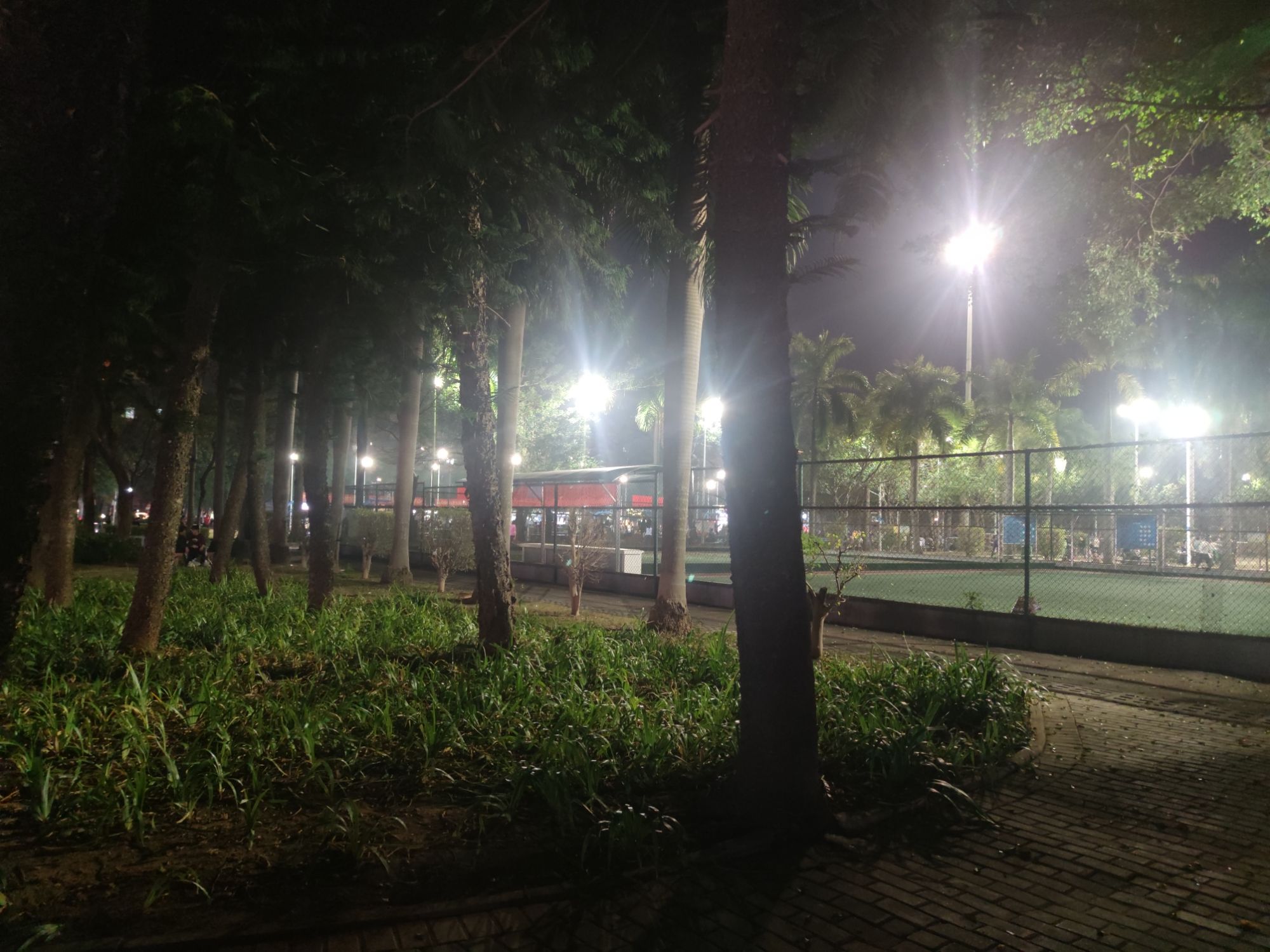 博罗县城文化广场旅行图片