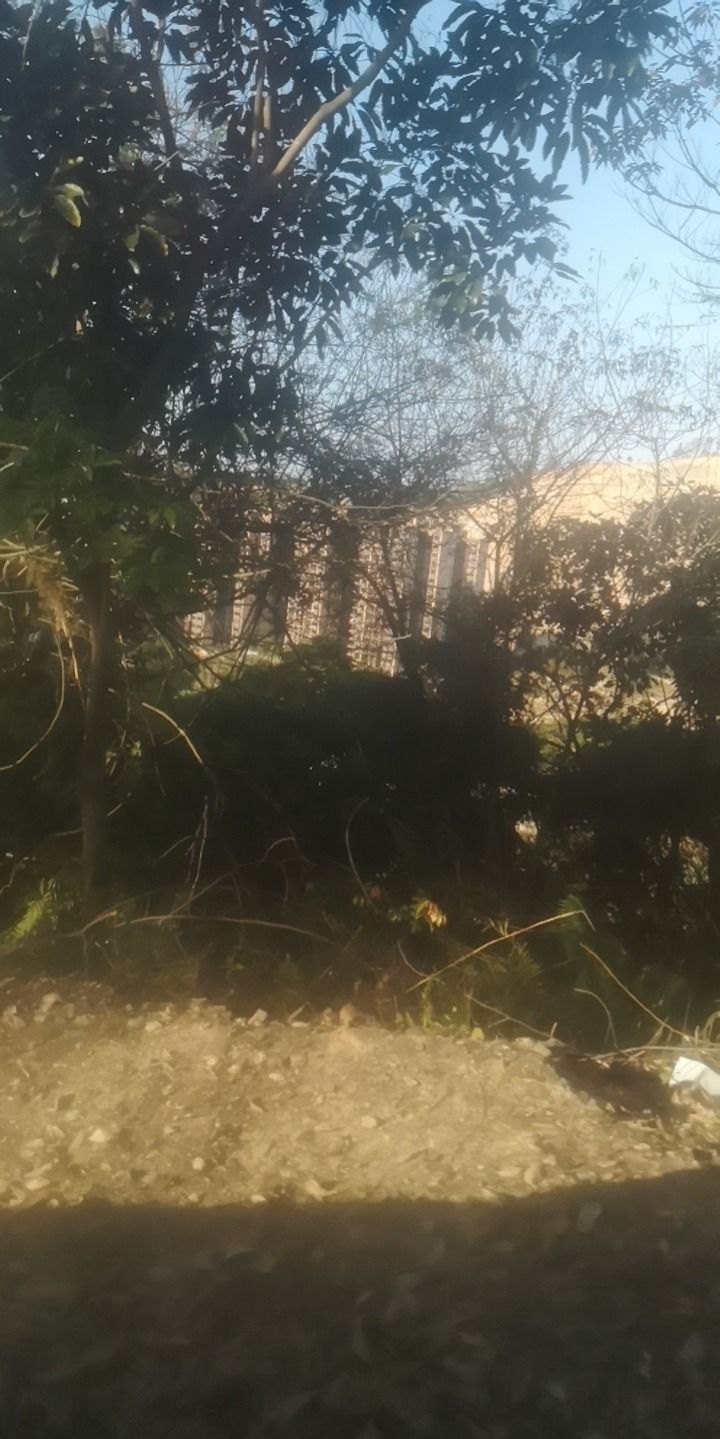 狮朝洞