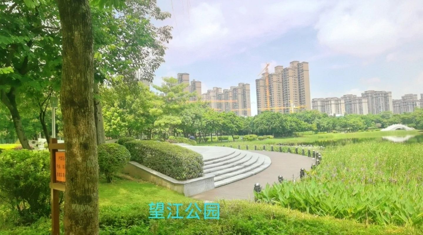 望江公园