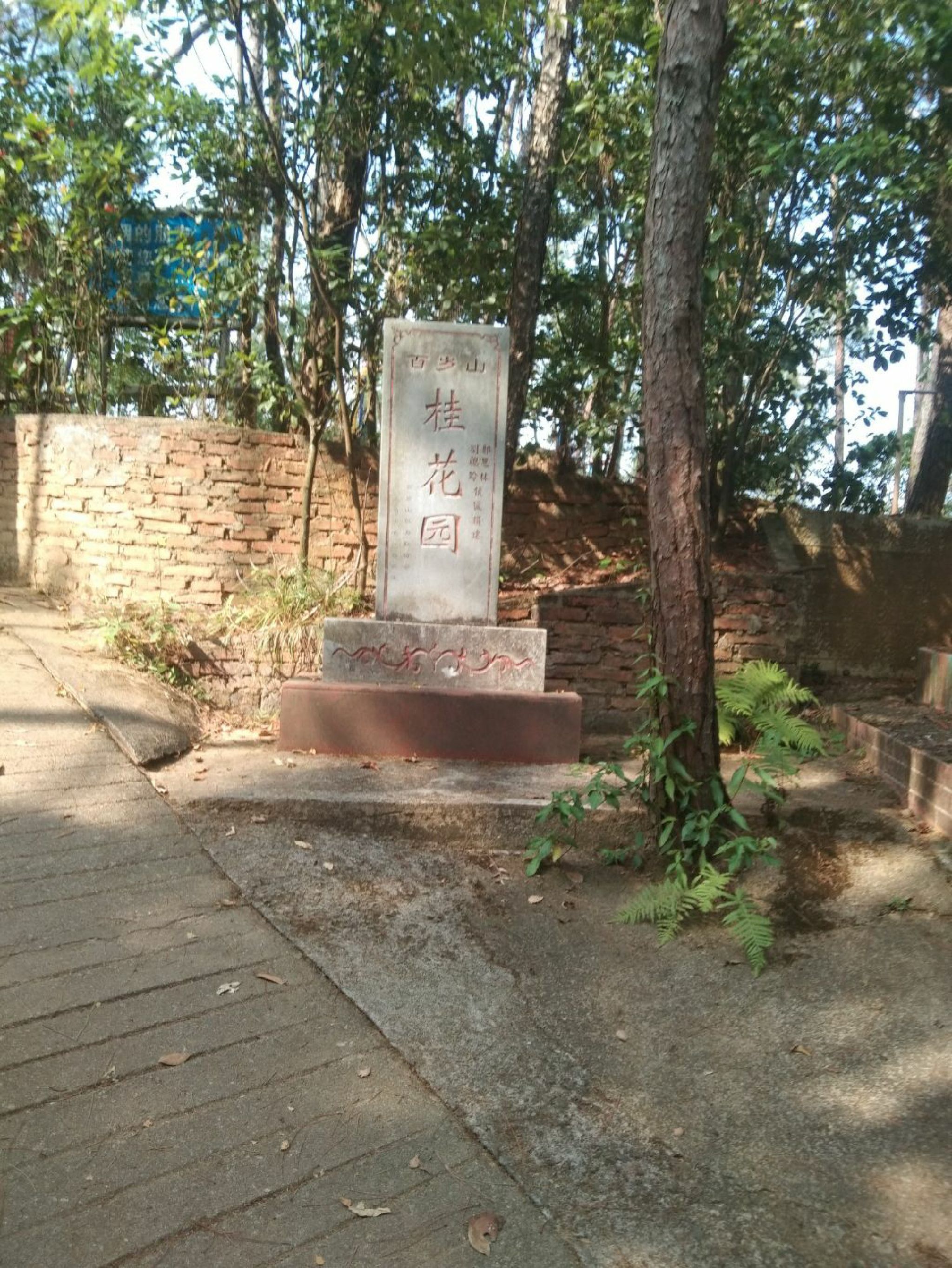 百岁山