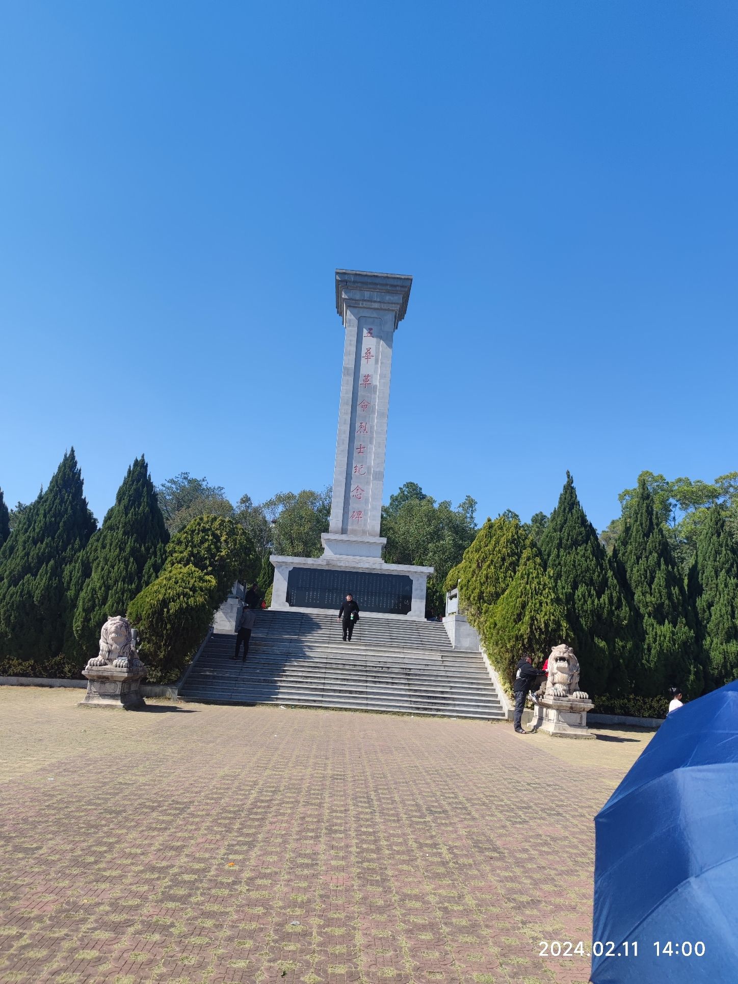 广东蒲丽顶森林公园