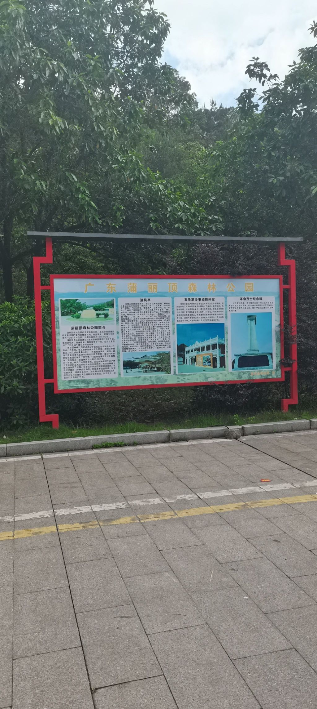 广东蒲丽顶森林公园旅行图片