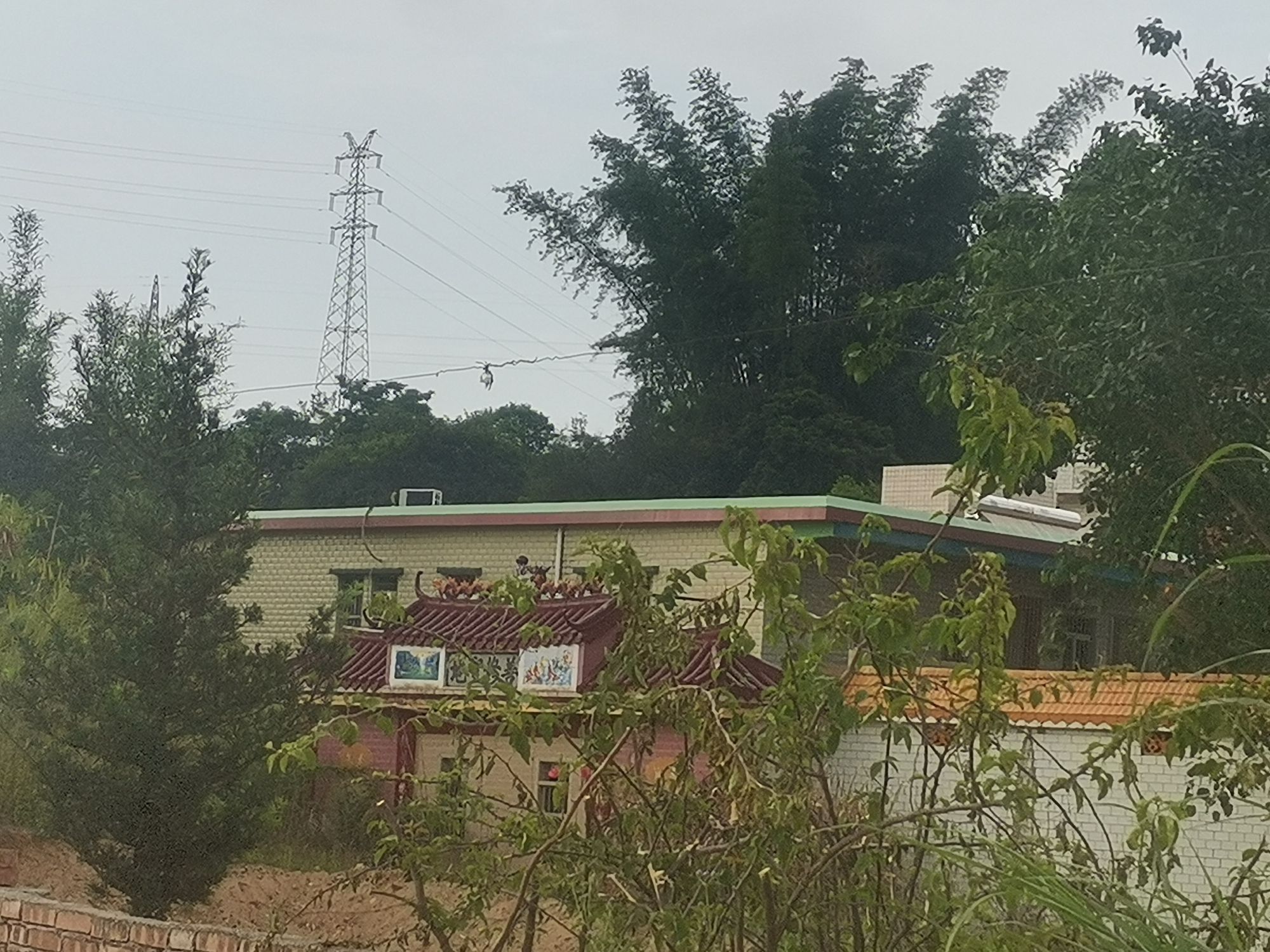 广东蒲丽顶森林公园旅行图片