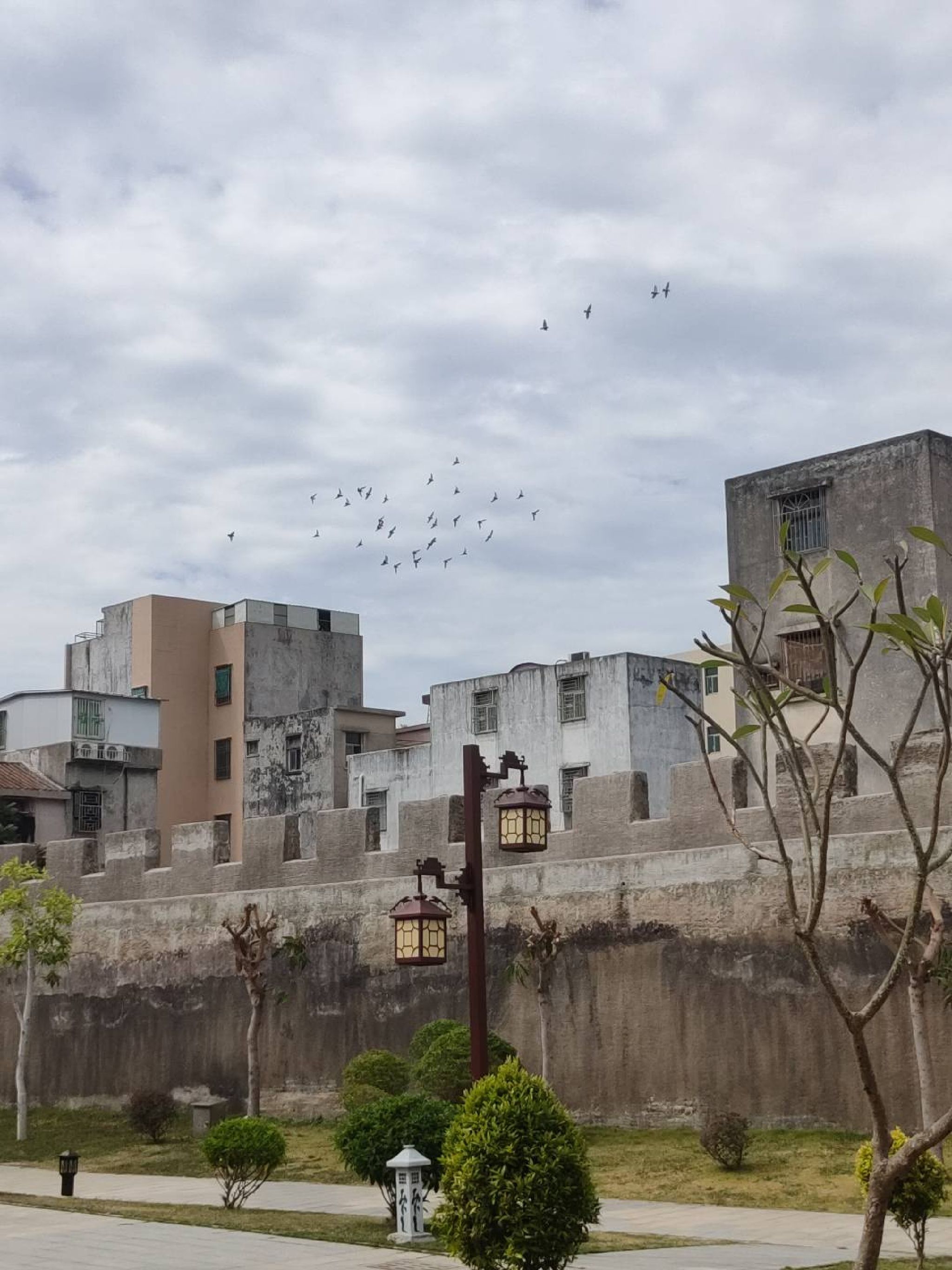 达濠古城旅行图片