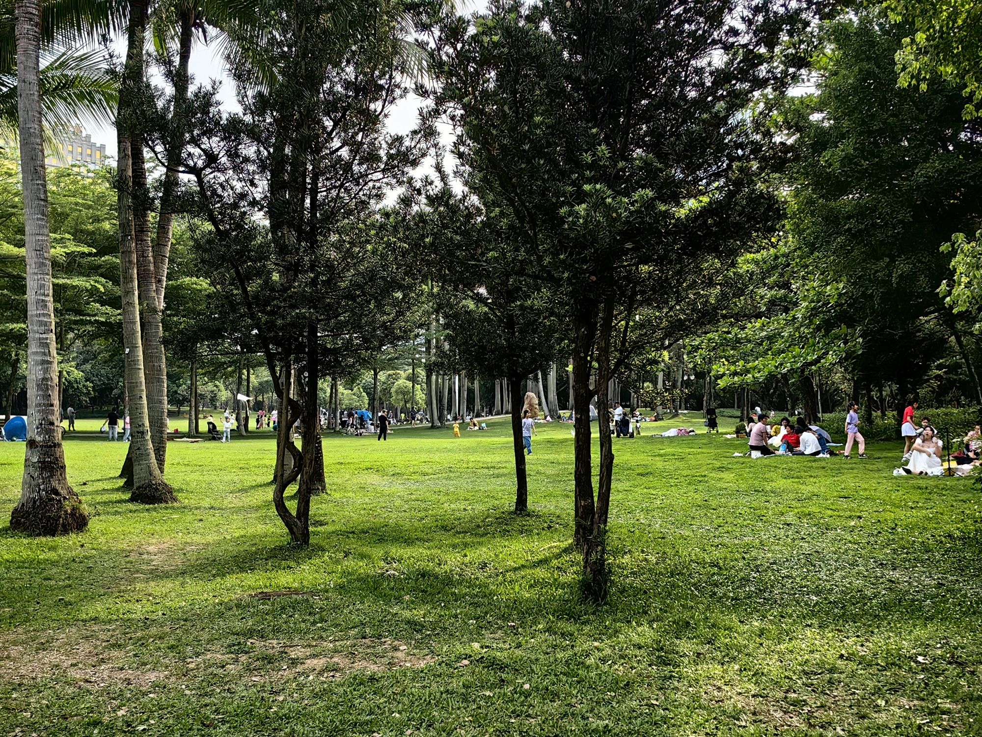 深圳中心公园