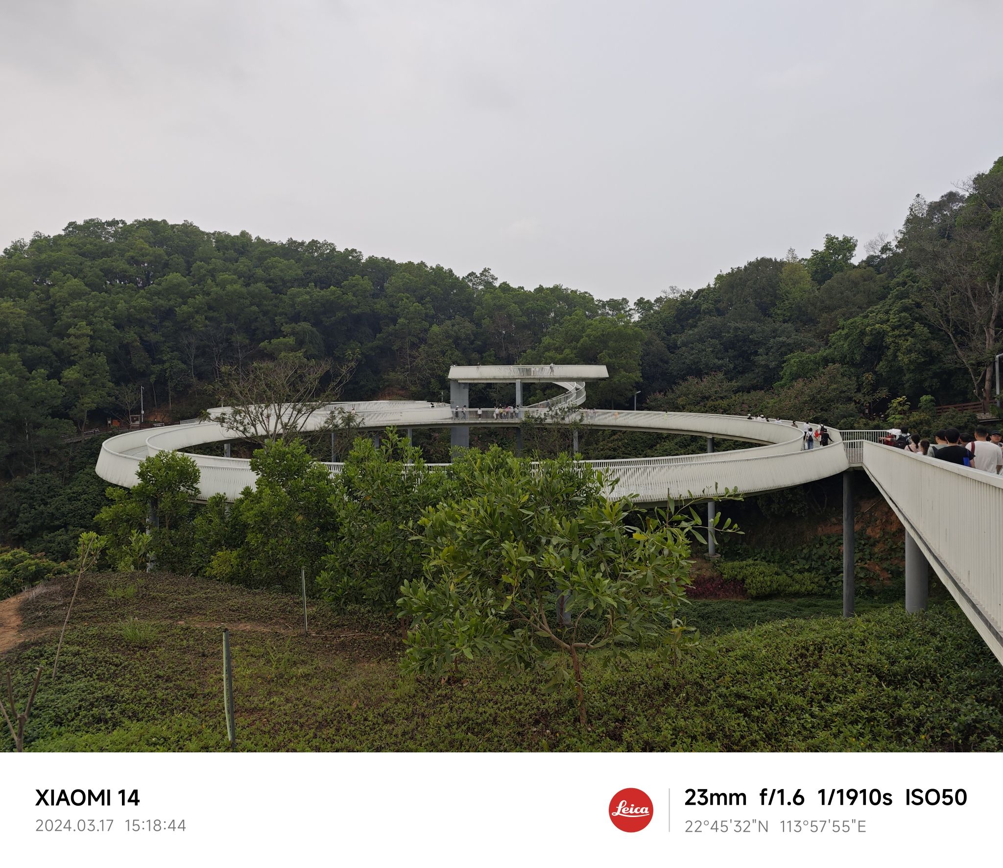 大顶岭山林公园