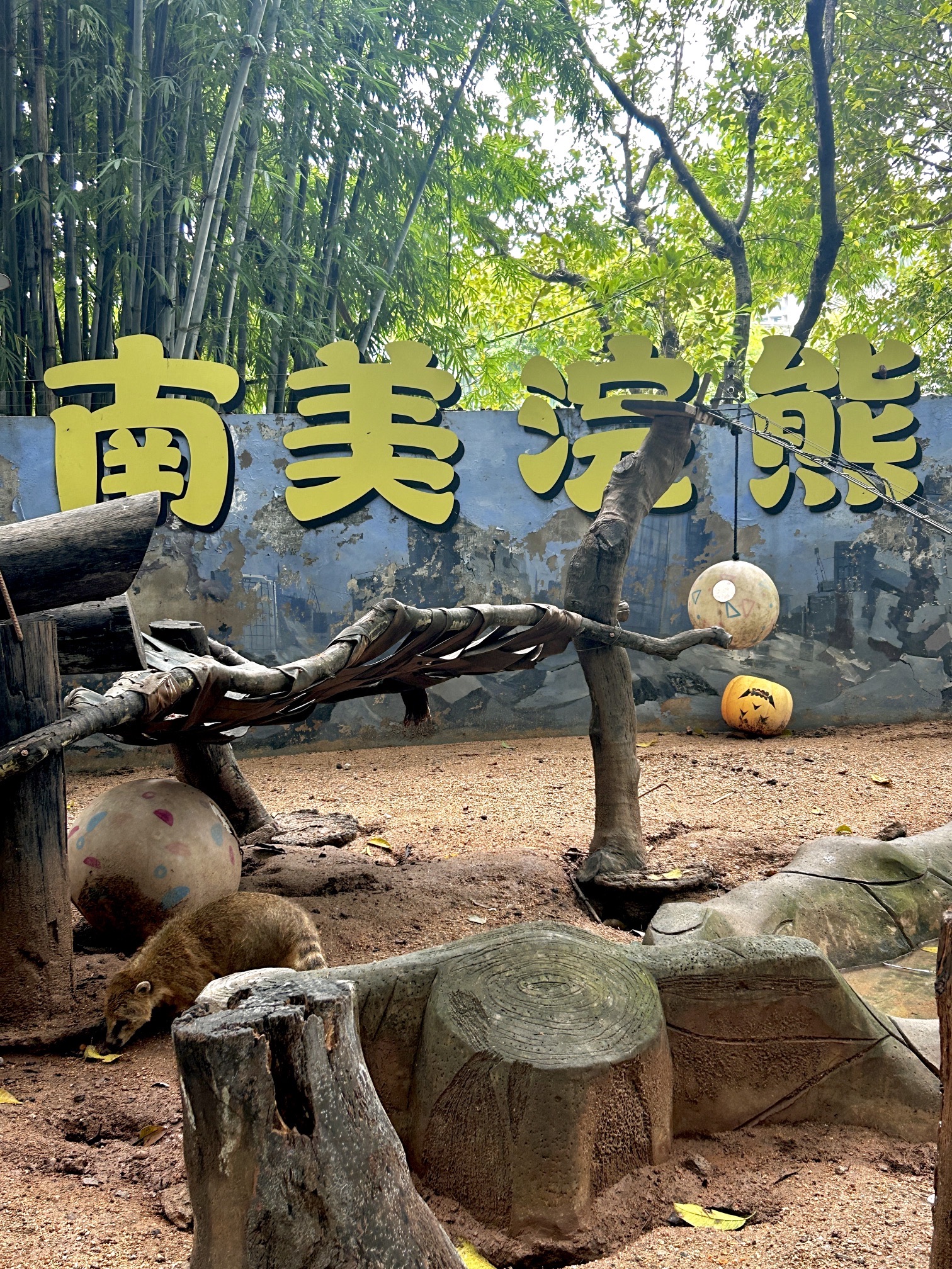 深圳野生动物园