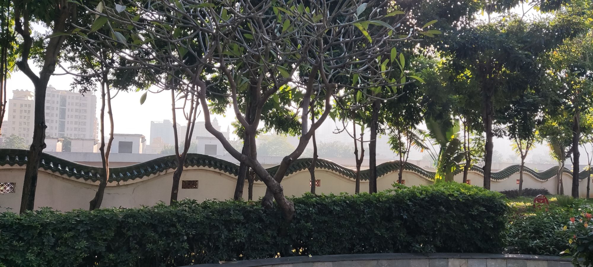 大钟山公园旅行图片