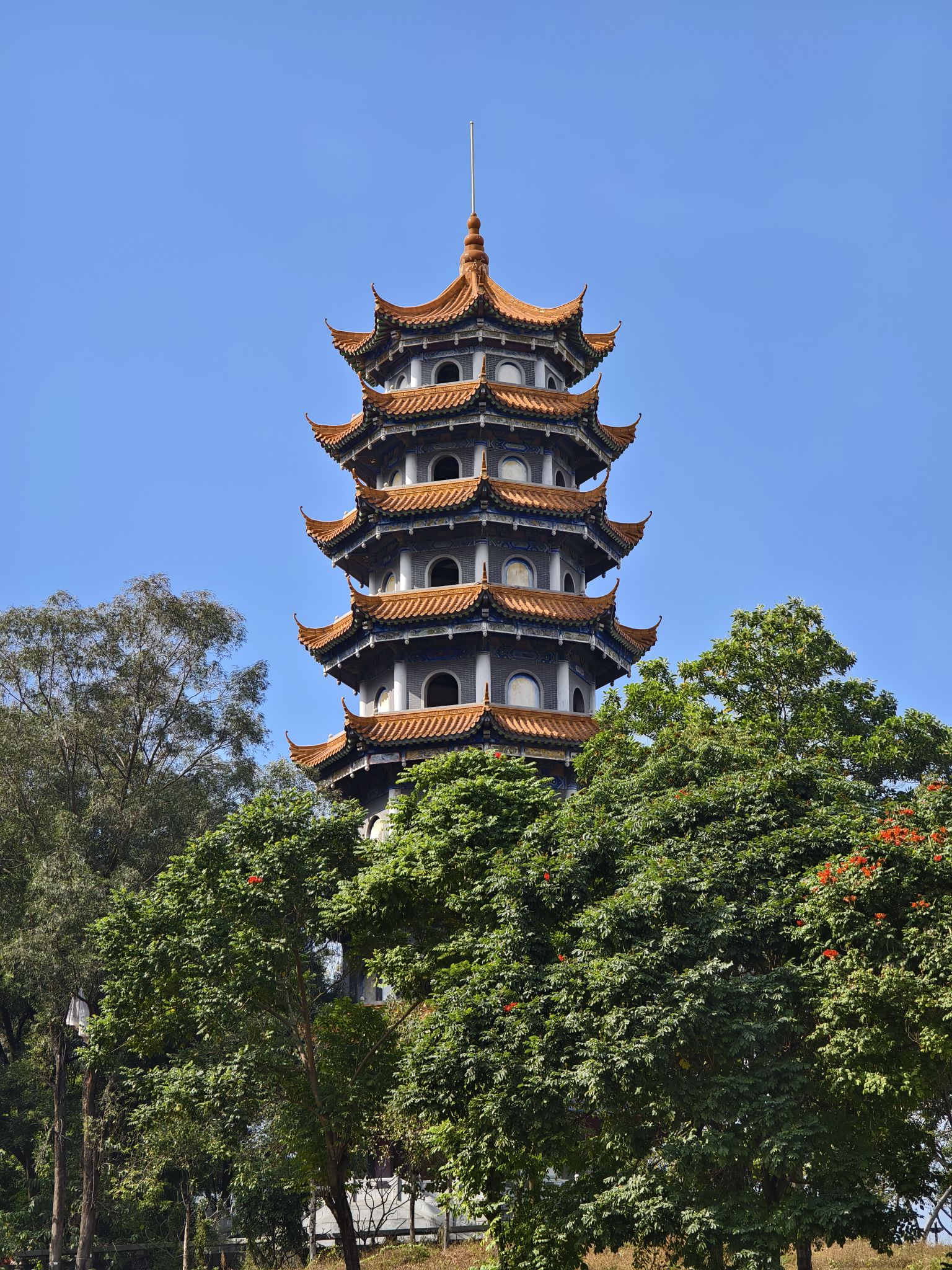 大钟山公园旅行图片