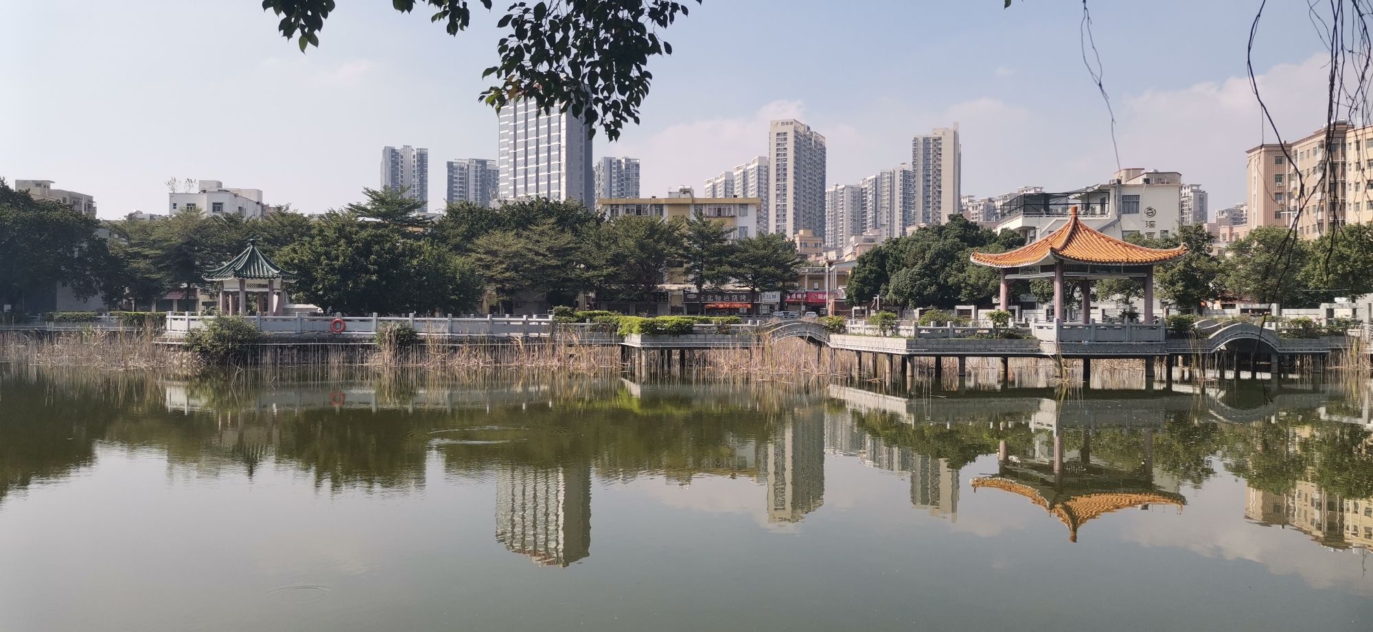 坣岗公园旅行图片