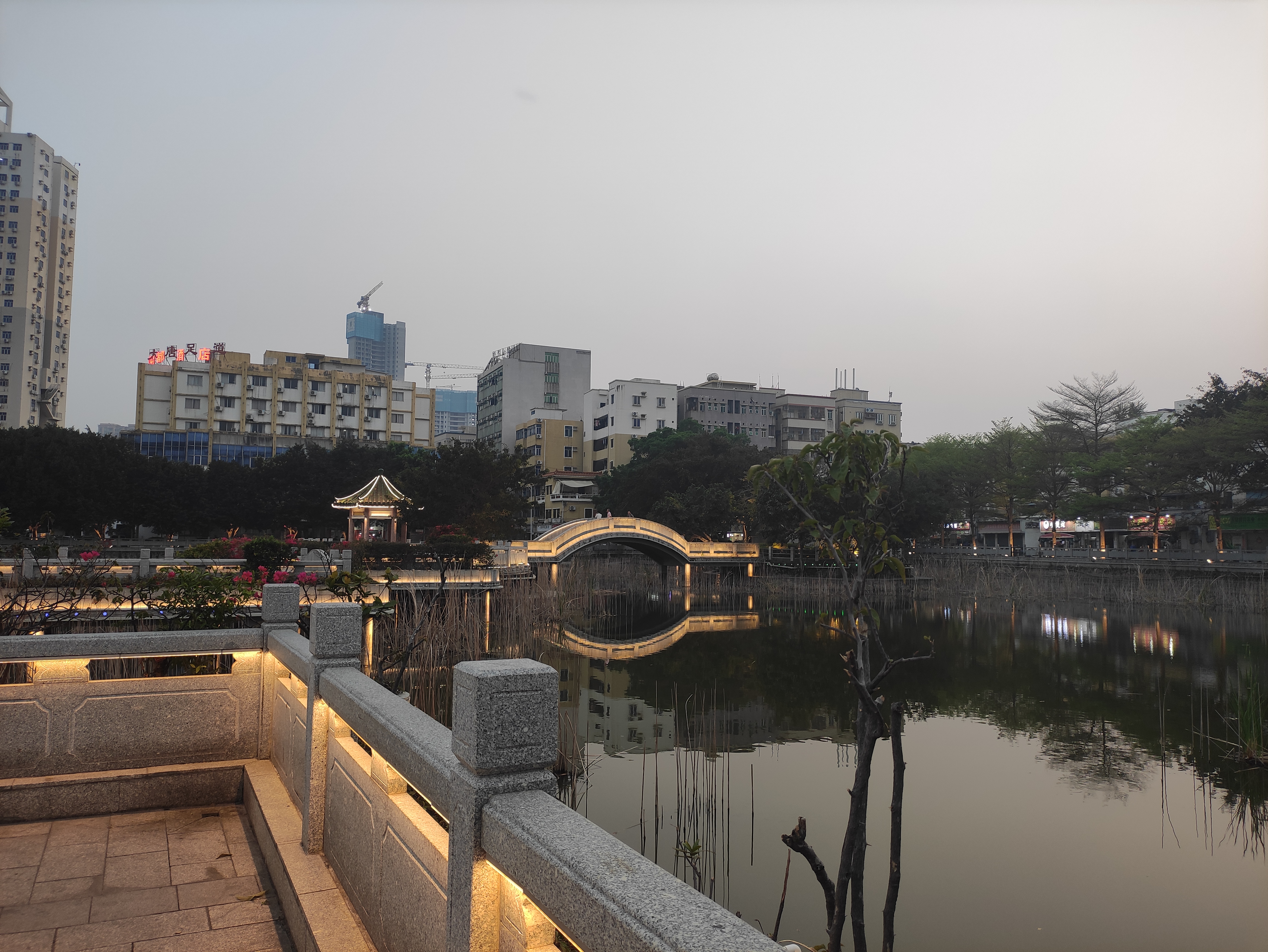 坣岗公园旅行图片