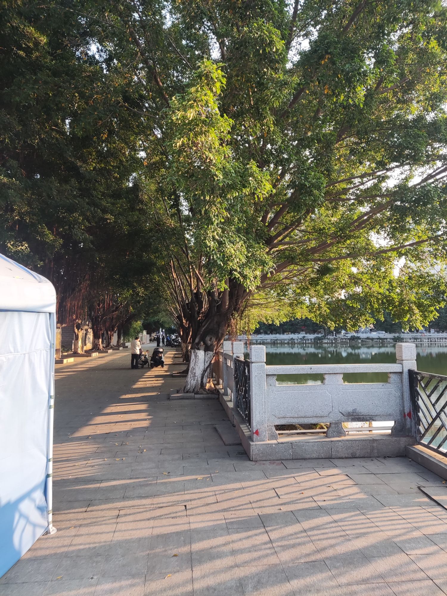 坣岗公园旅行图片