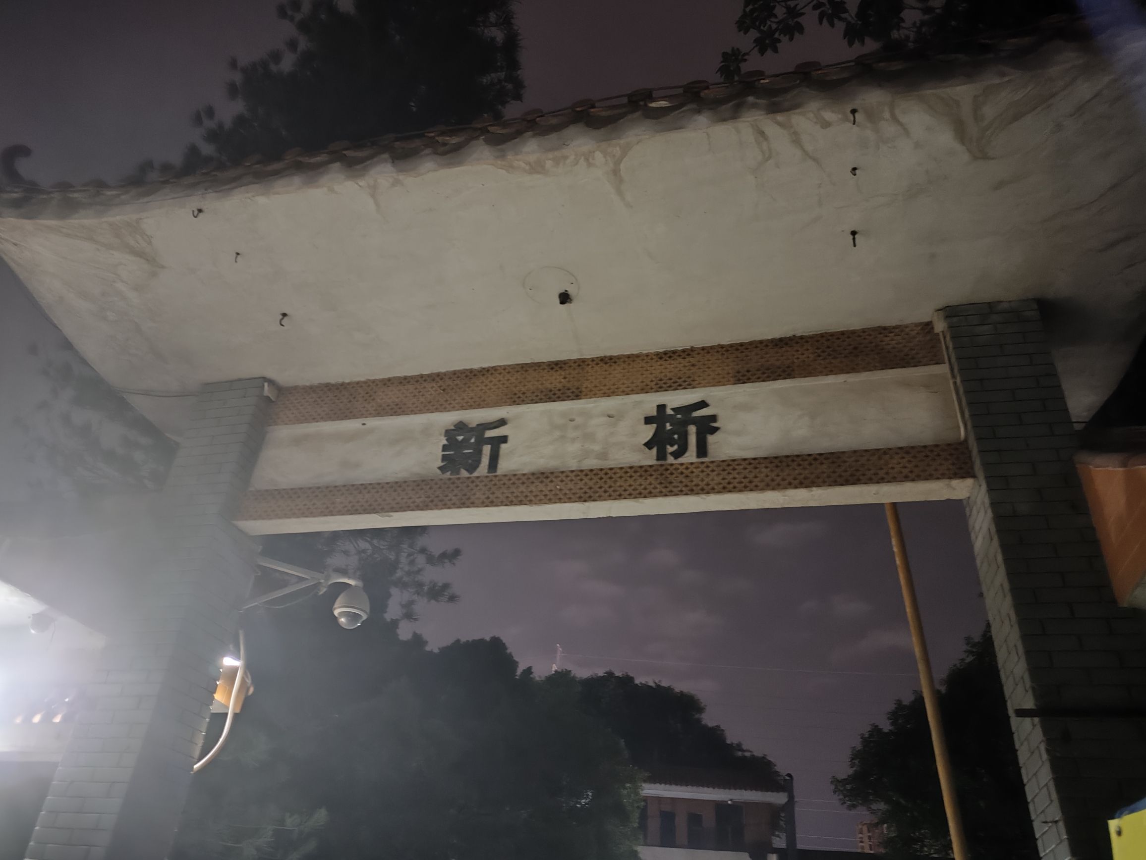 新桥公园旅行图片