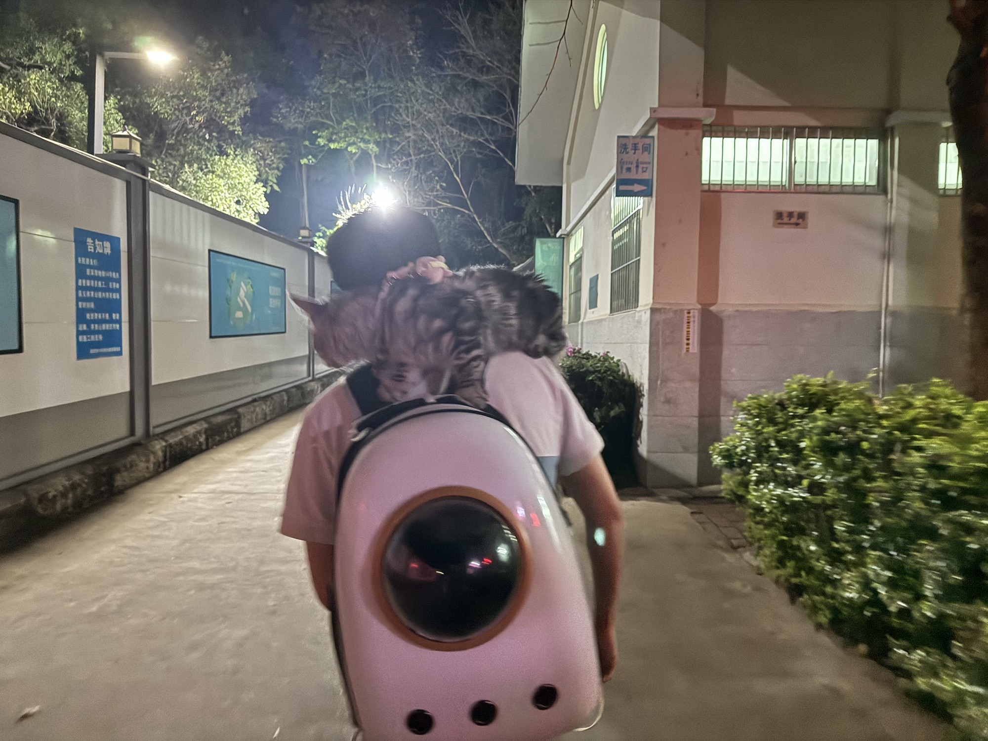 石芽岭公园旅行图片