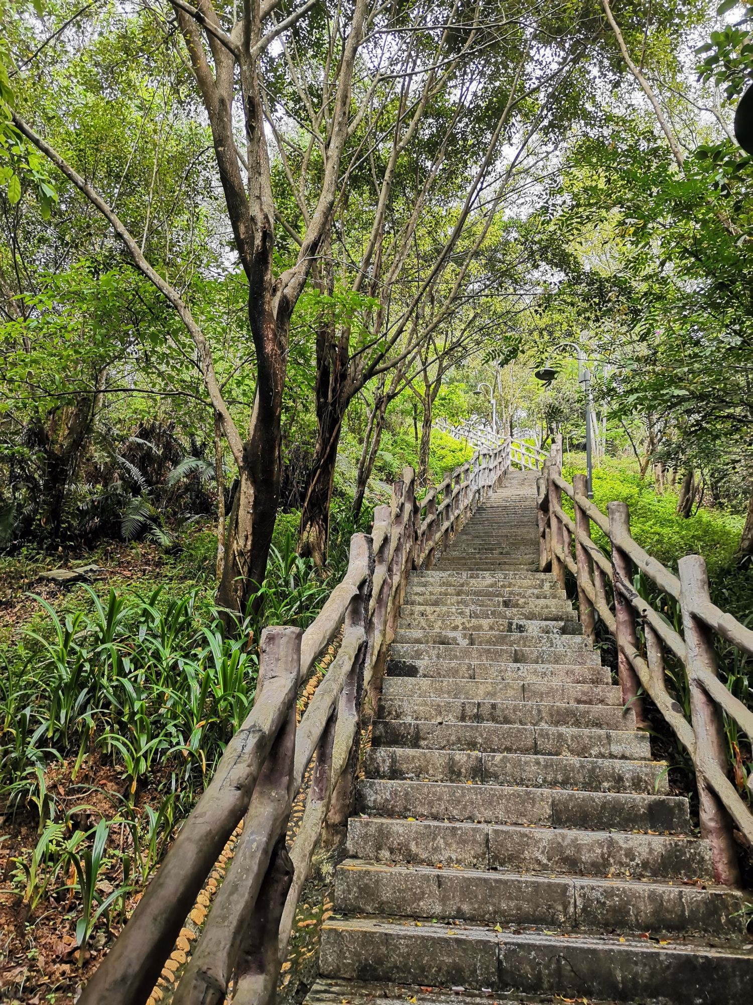 龙城公园