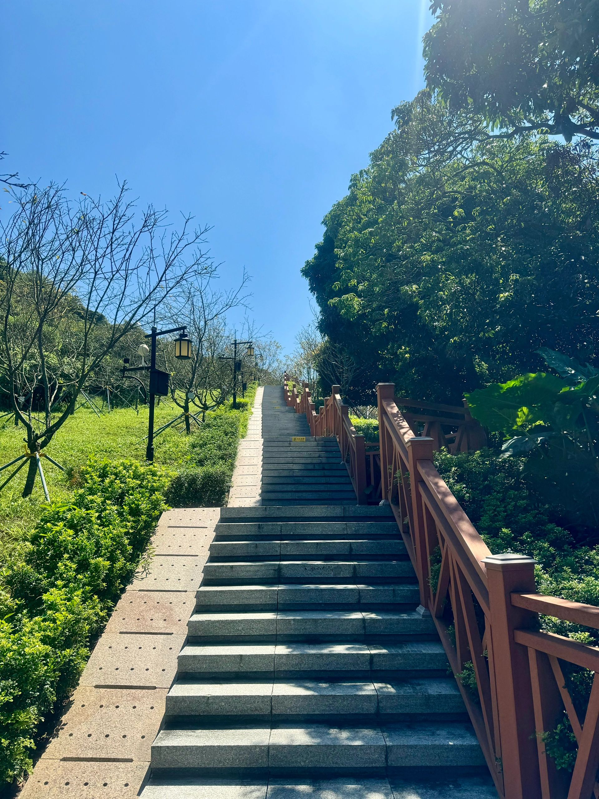 小南山公园旅行图片