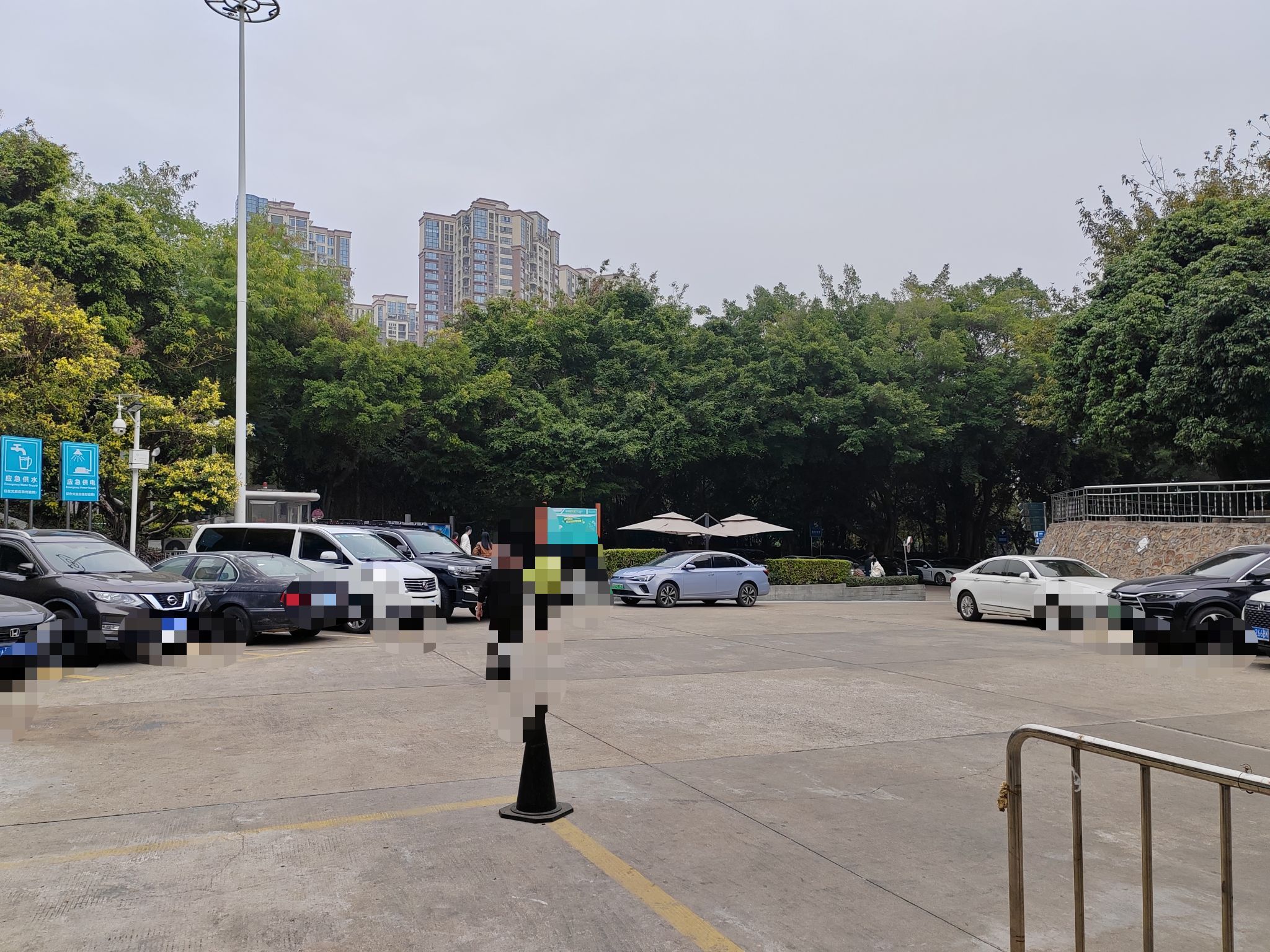 碧海湾公园旅行图片