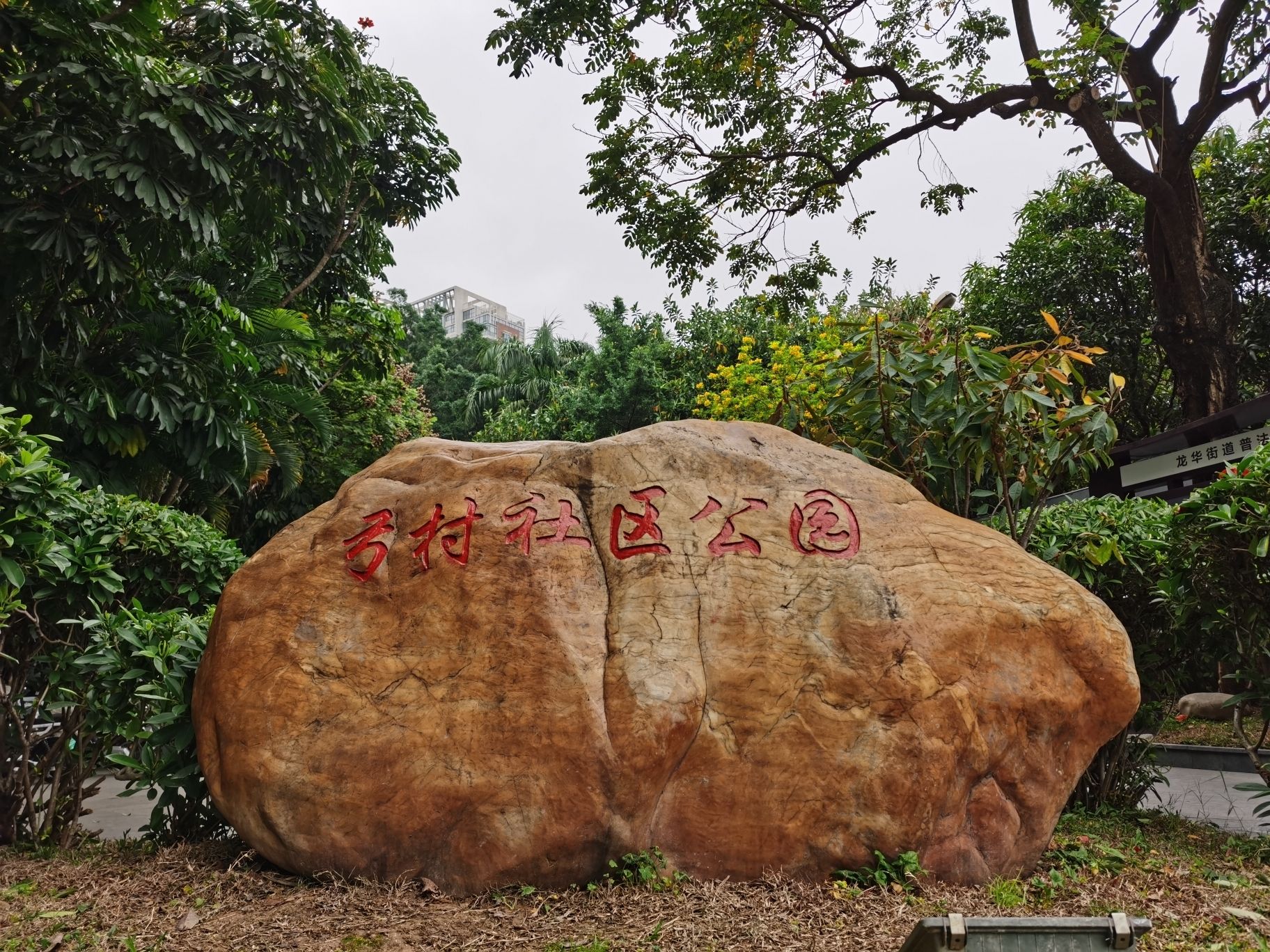 弓村社区公园旅行图片