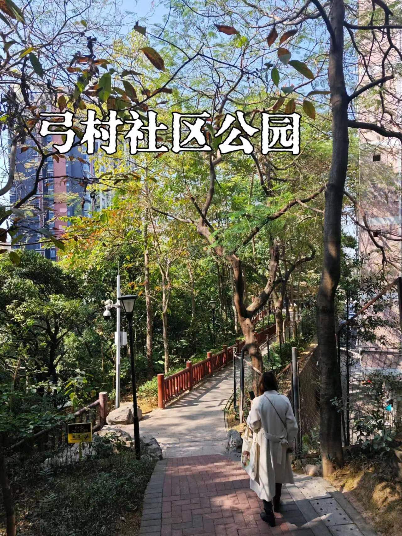 弓村社区公园旅行图片