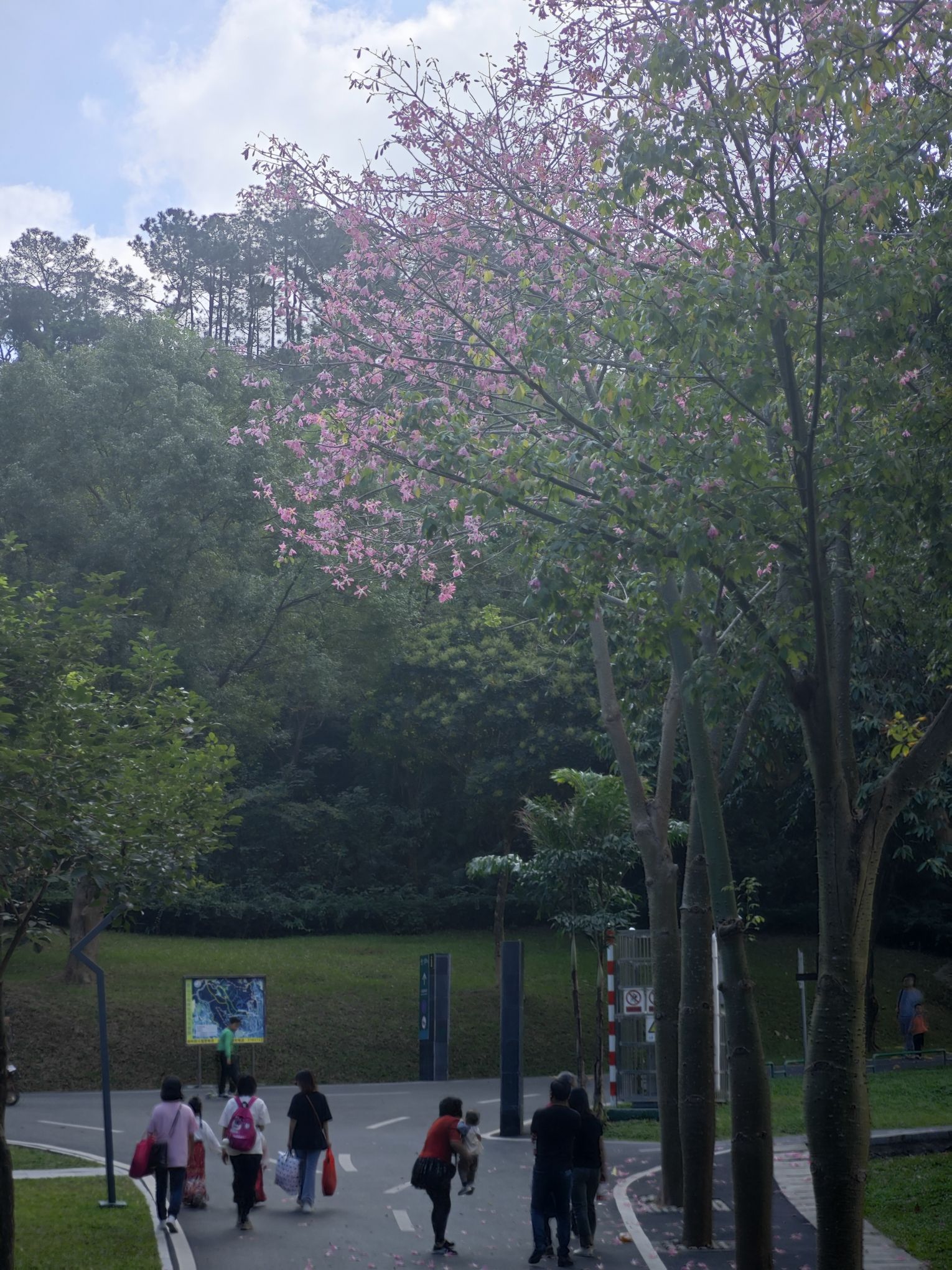 霞山公园旅行图片