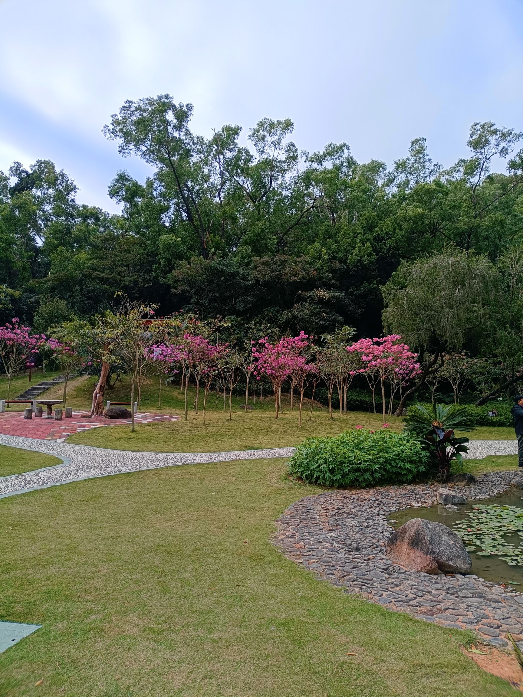 白莲洞公园